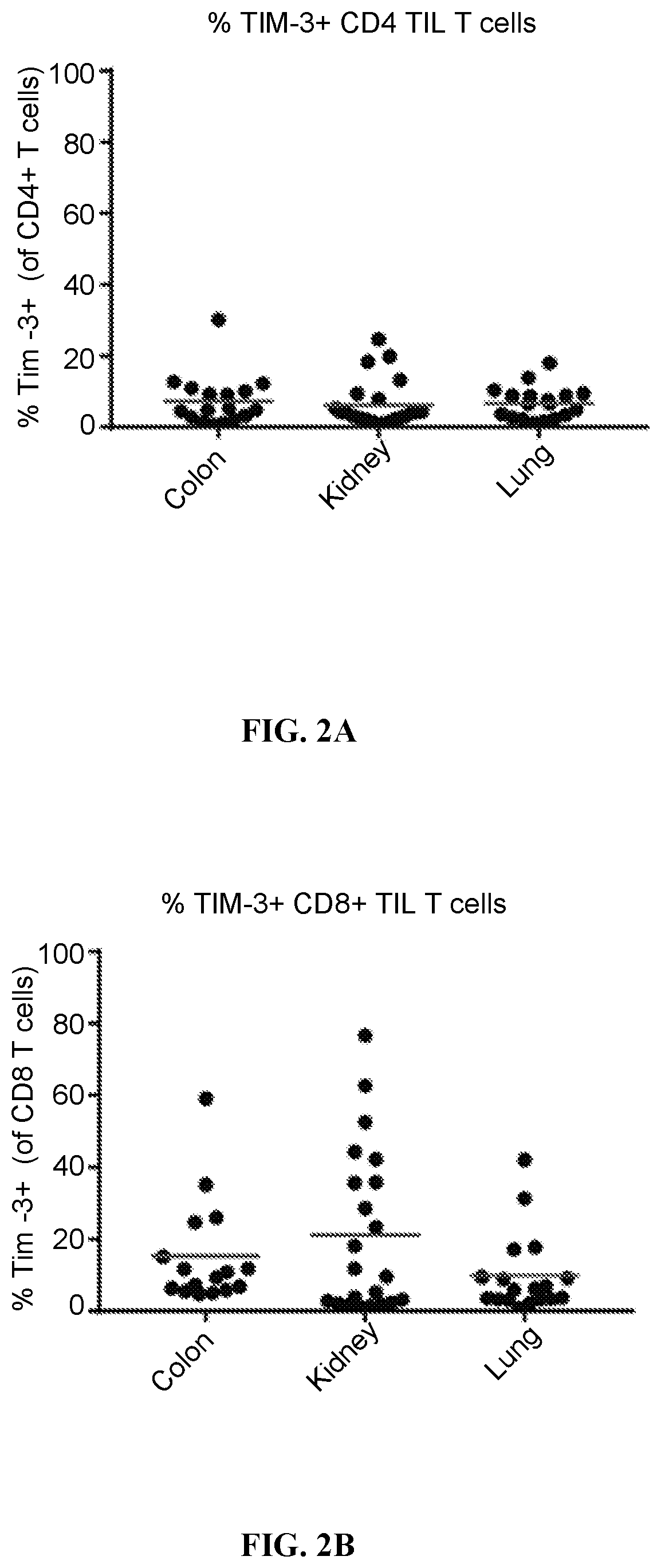 Patent US11787859 Figure 2 – TIM-3 antagonists for the treatment and diagnosis of cancers