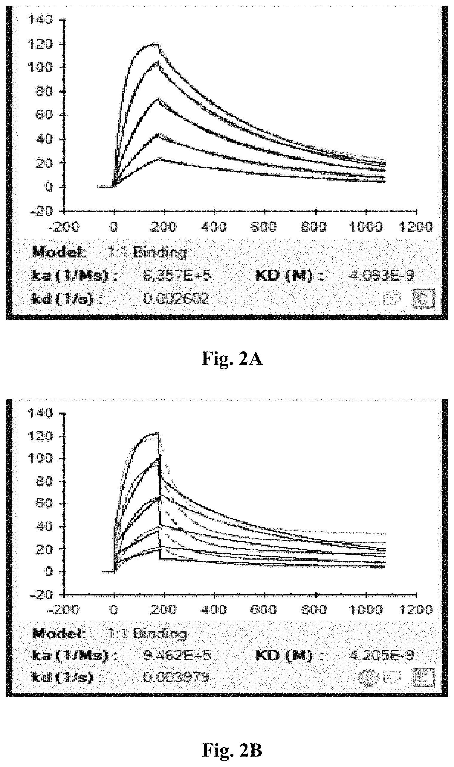 Patent US11787860 Figure 2 – Anti-CD47 antibodies and uses thereof