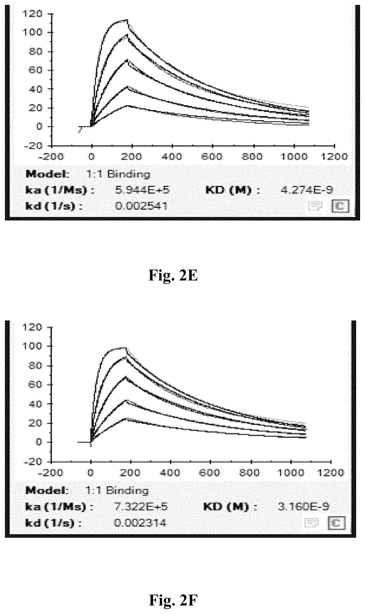 Patent US11787860 Figure 4 – Anti-CD47 antibodies and uses thereof