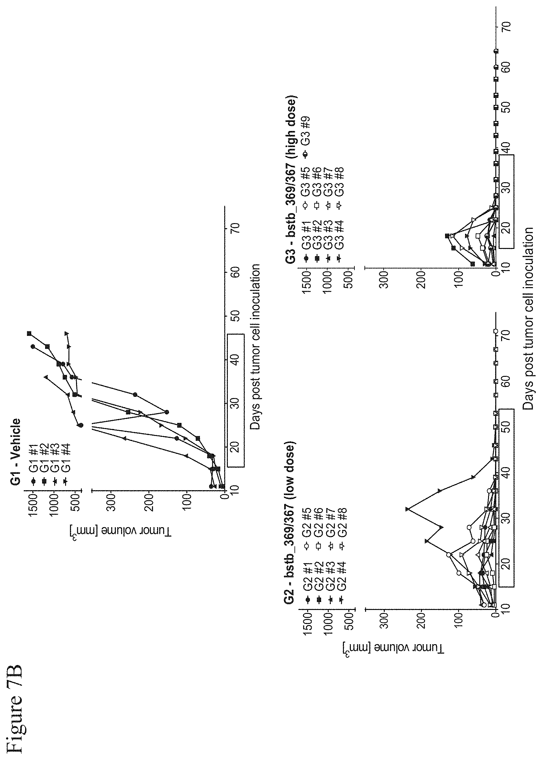 Patent US11787862 Figure 18 – Bispecific trivalent antibodies binding to Claudin6 or Claudin18.2 and CD3 for treatment of Claudin expressing cancer diseases
