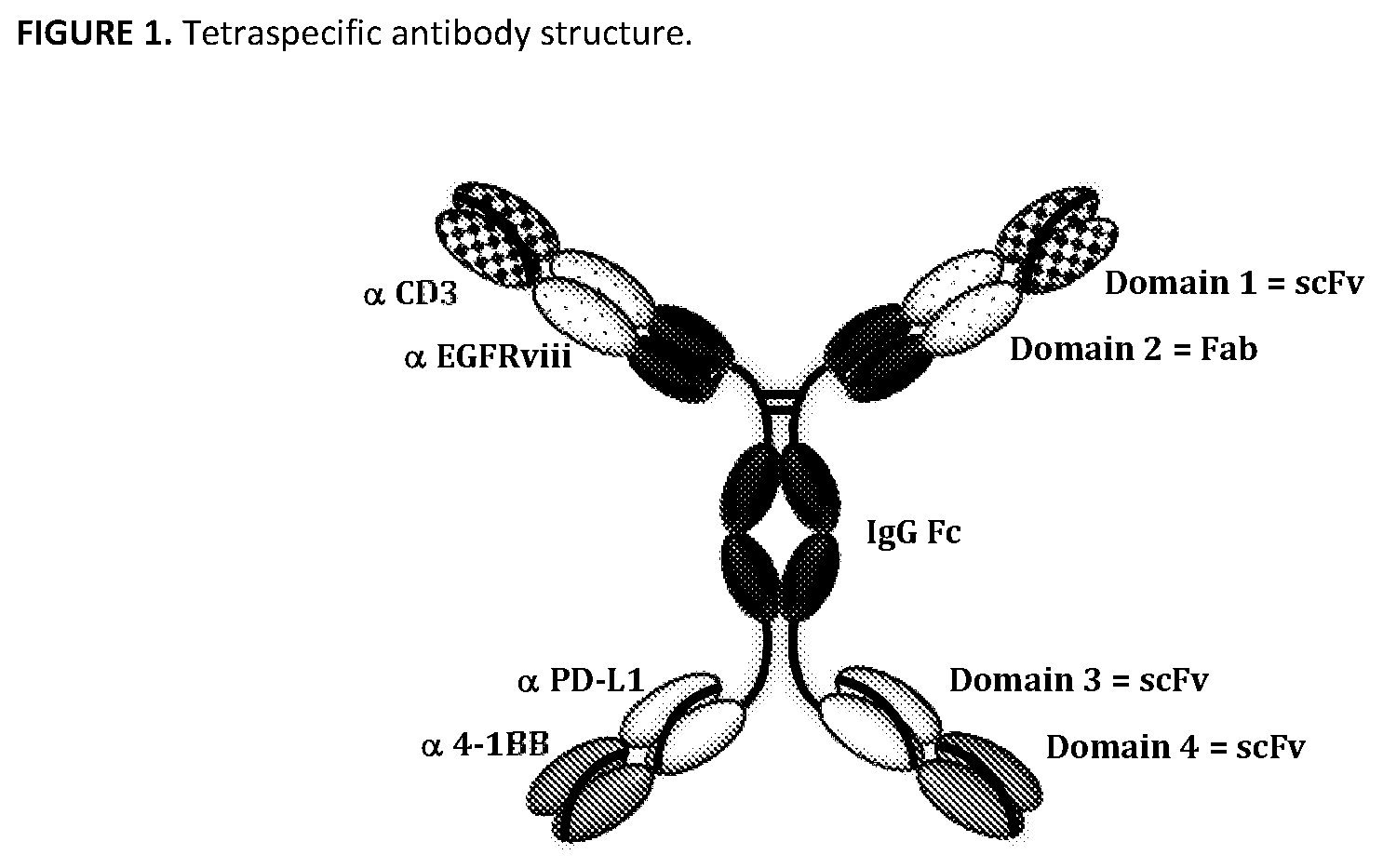 Patent US11787863 Figure 1 – Multi-specific antibodies and methods of making and using thereof