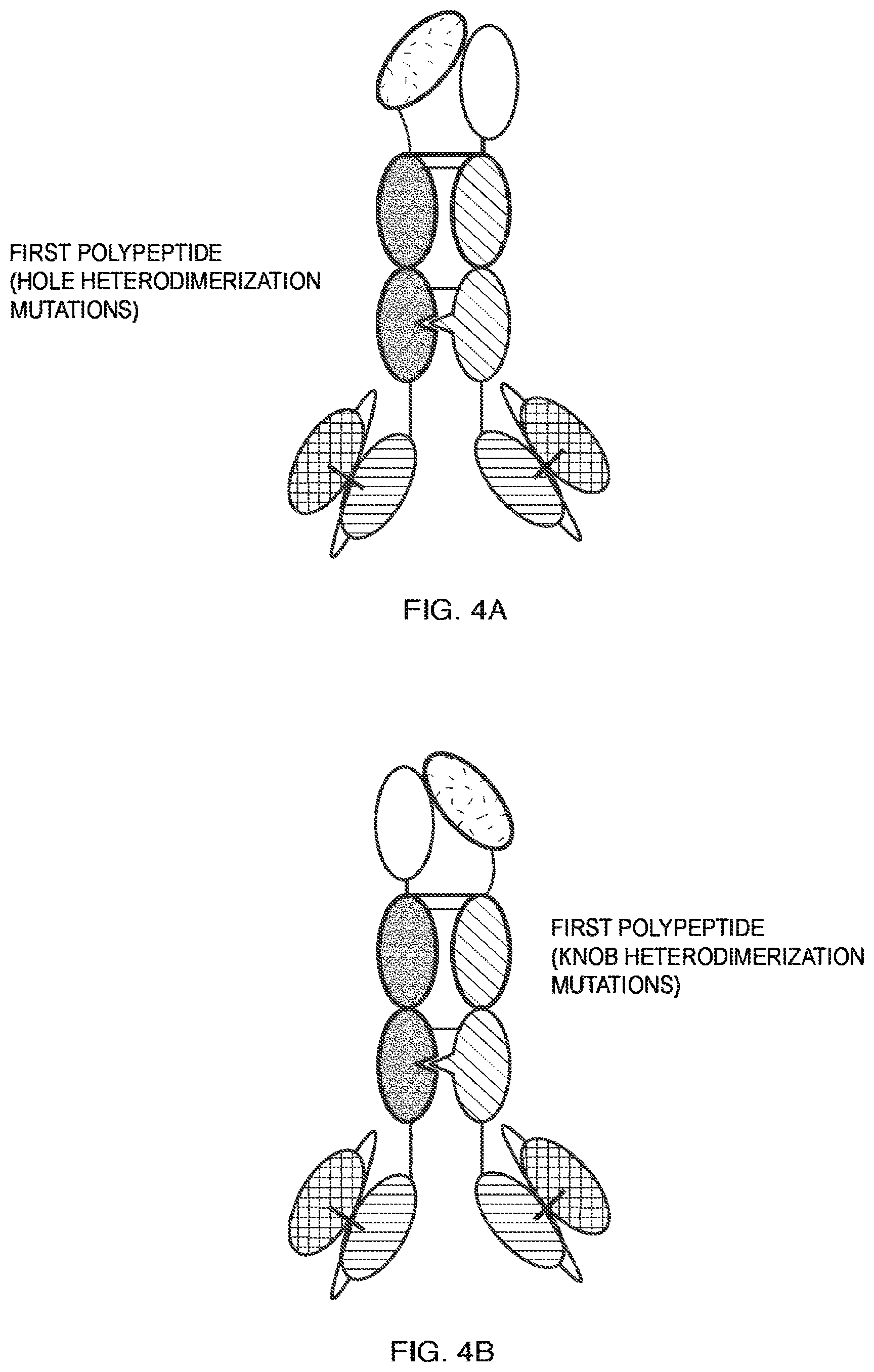Patent US11787864 Figure 6 – Heterodimeric Fc-fused proteins