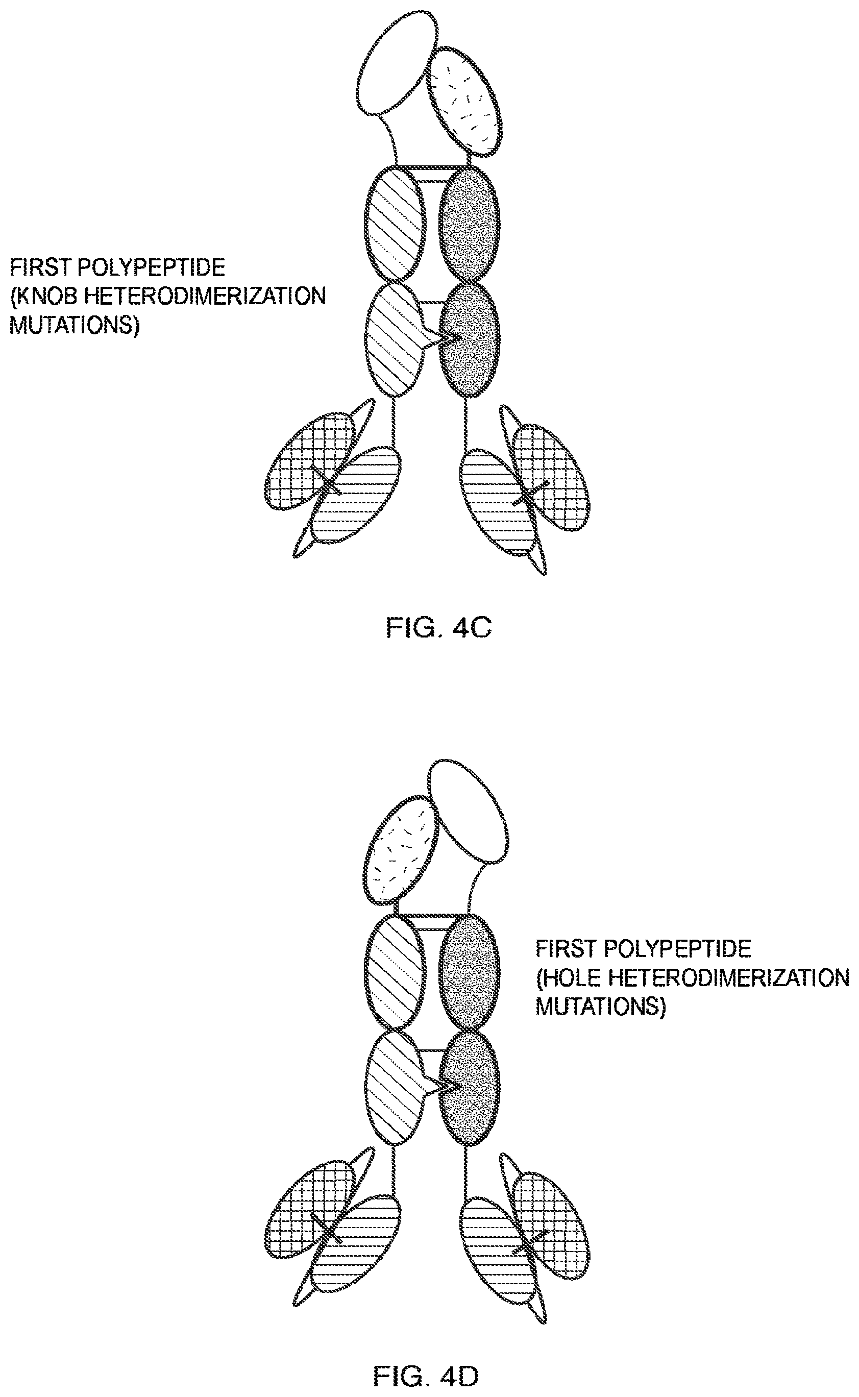 Patent US11787864 Figure 7 – Heterodimeric Fc-fused proteins