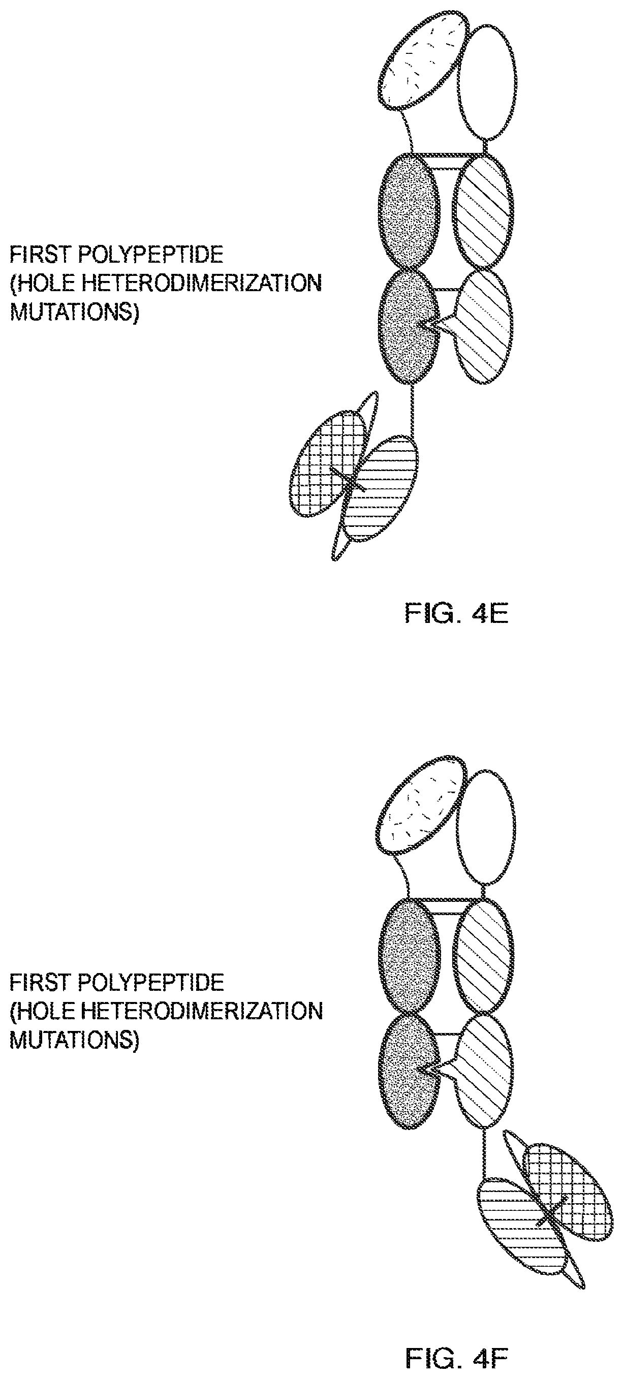 Patent US11787864 Figure 8 – Heterodimeric Fc-fused proteins