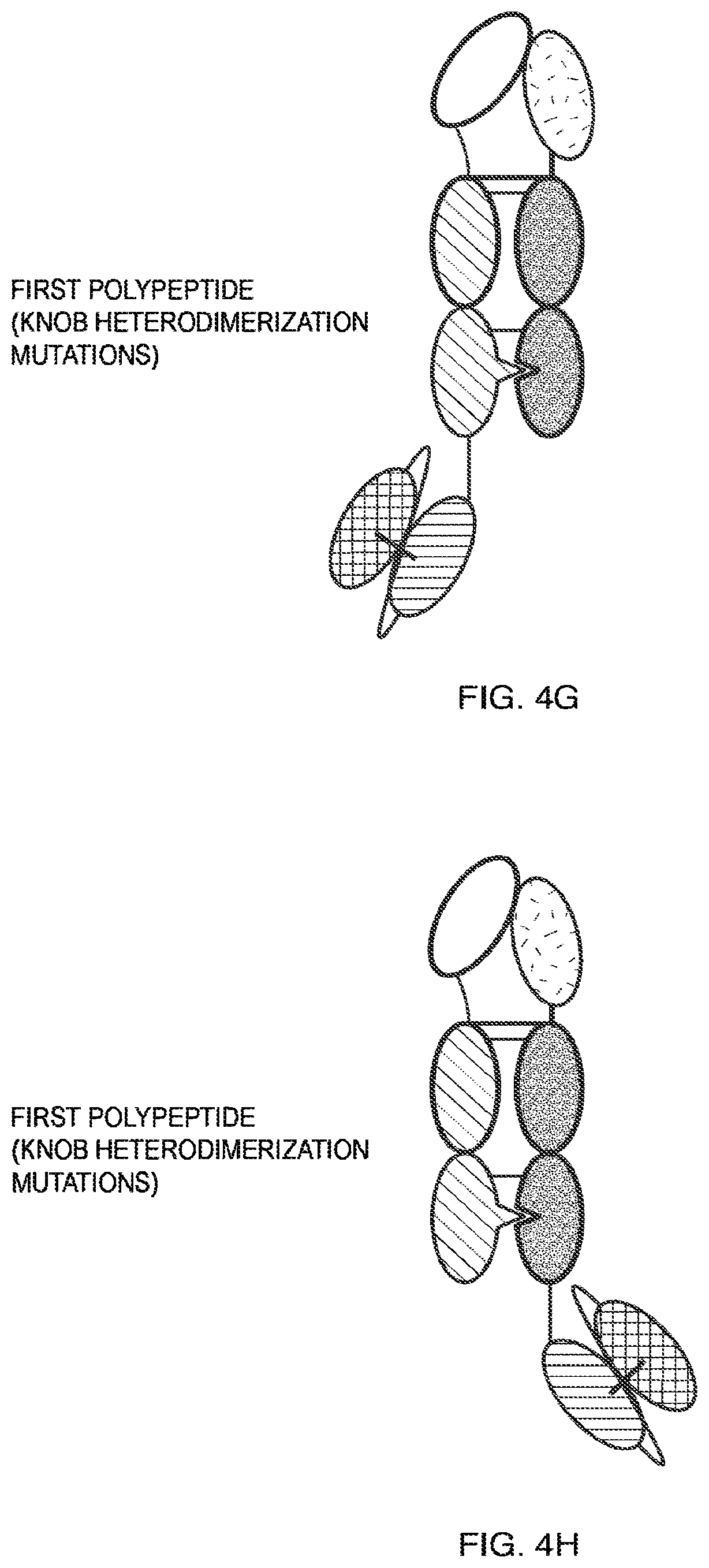 Patent US11787864 Figure 9 – Heterodimeric Fc-fused proteins