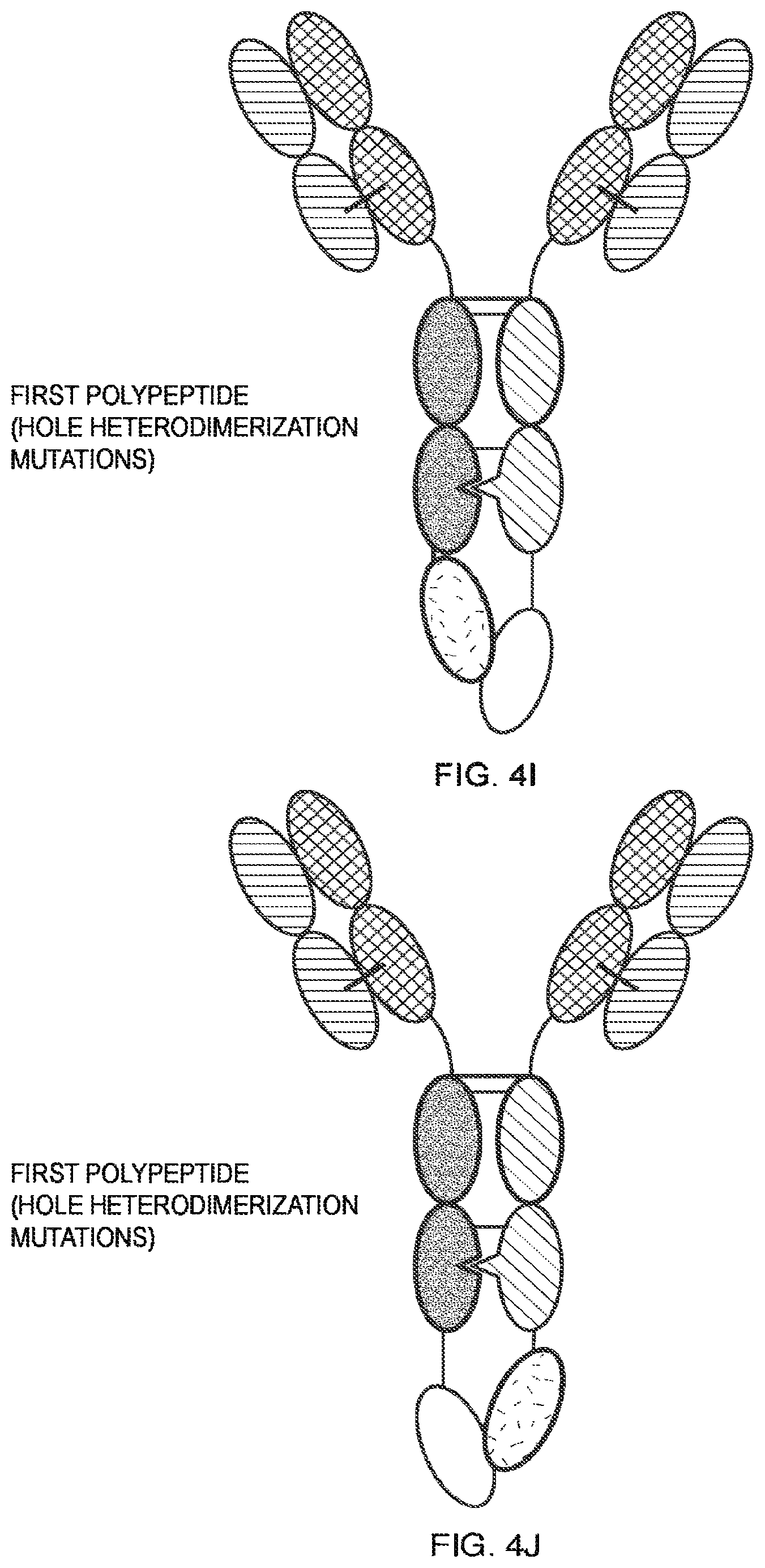 Patent US11787864 Figure 10 – Heterodimeric Fc-fused proteins
