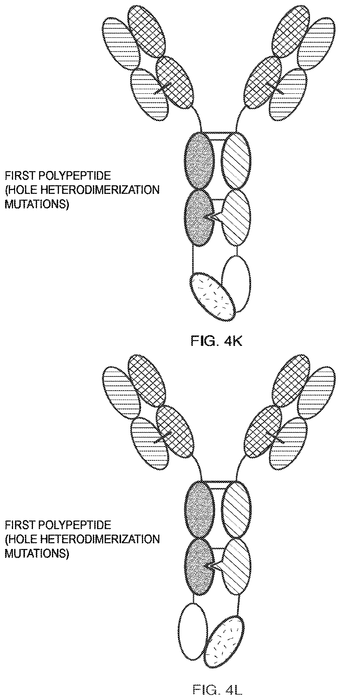 Patent US11787864 Figure 11 – Heterodimeric Fc-fused proteins