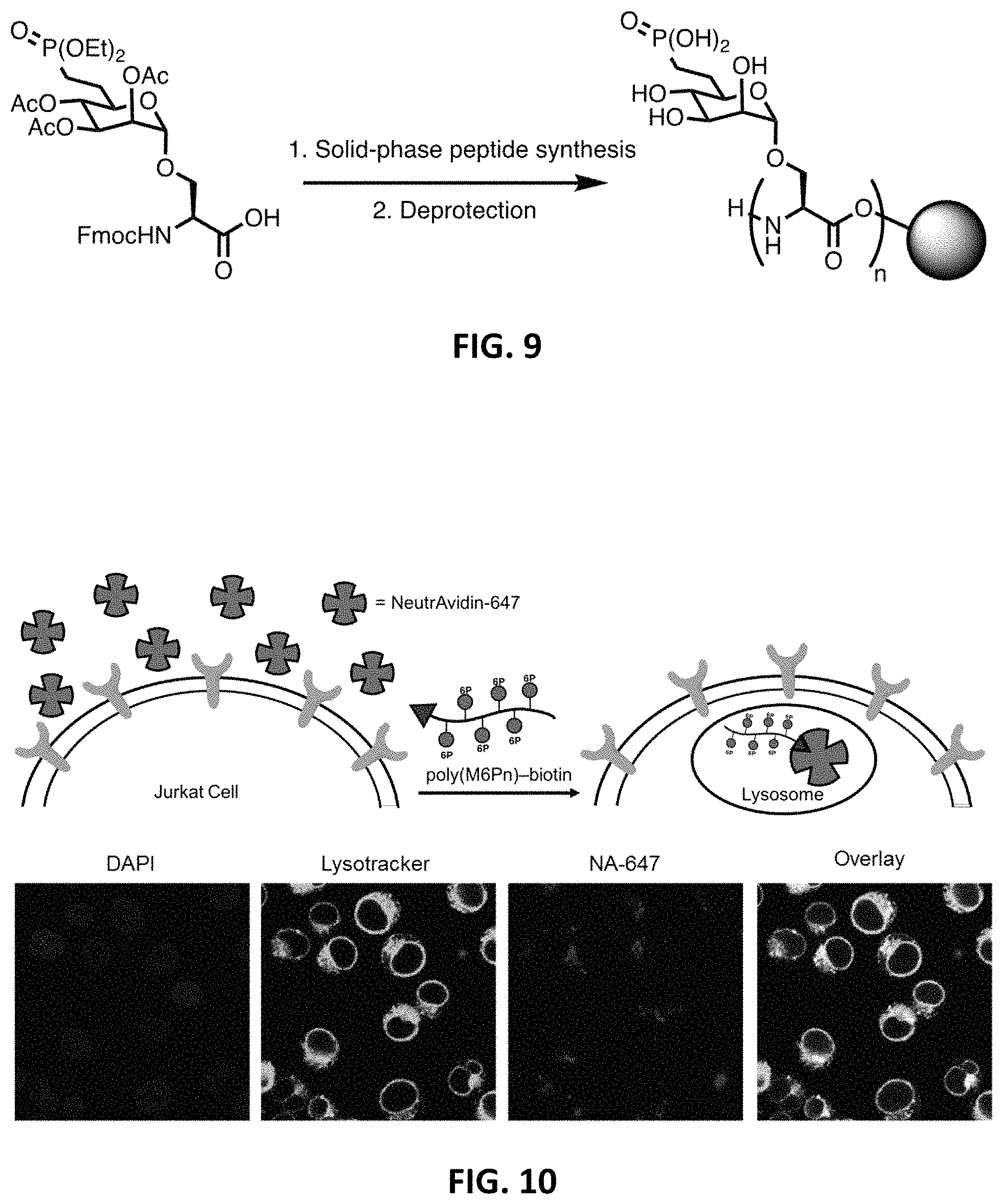 Patent US11787865 Figure 9 – Bifunctional molecules for lysosomal targeting and related compositions and methods
