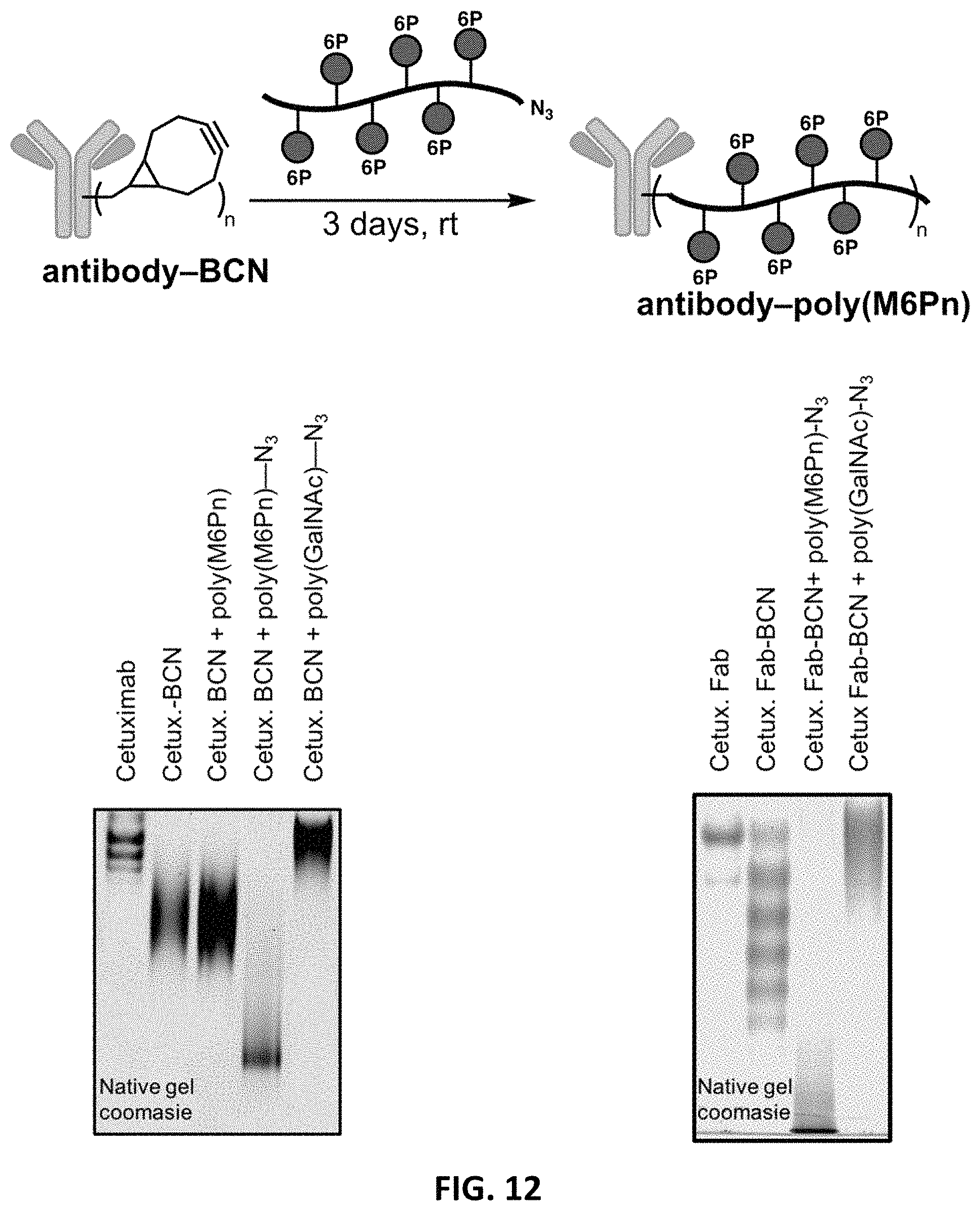 Patent US11787865 Figure 11 – Bifunctional molecules for lysosomal targeting and related compositions and methods