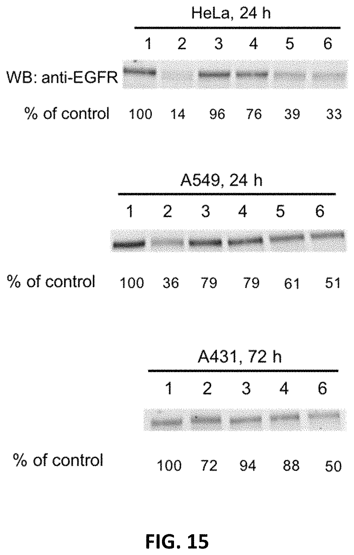 Patent US11787865 Figure 14 – Bifunctional molecules for lysosomal targeting and related compositions and methods