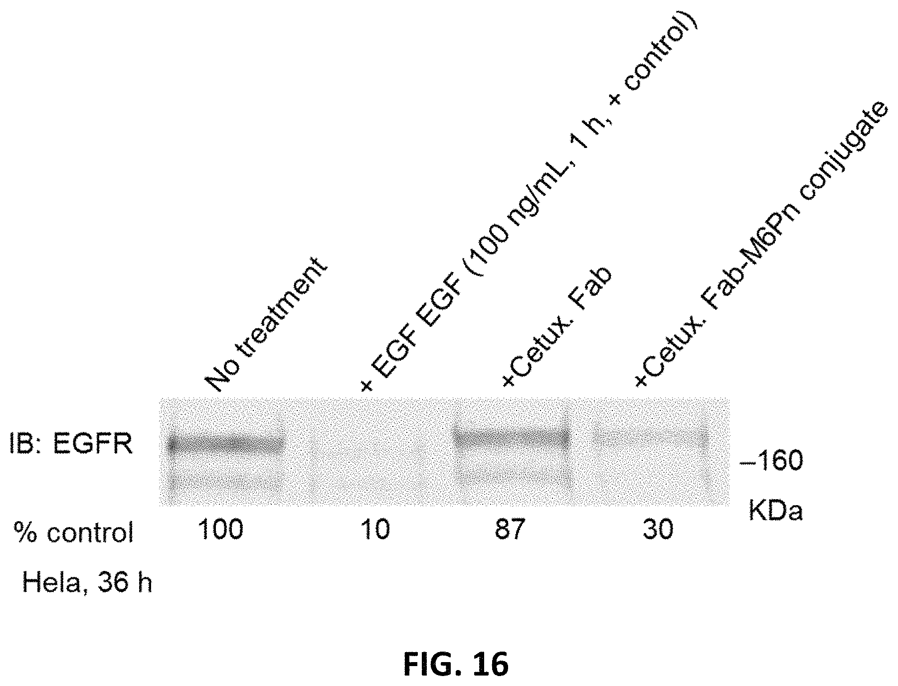 Patent US11787865 Figure 15 – Bifunctional molecules for lysosomal targeting and related compositions and methods