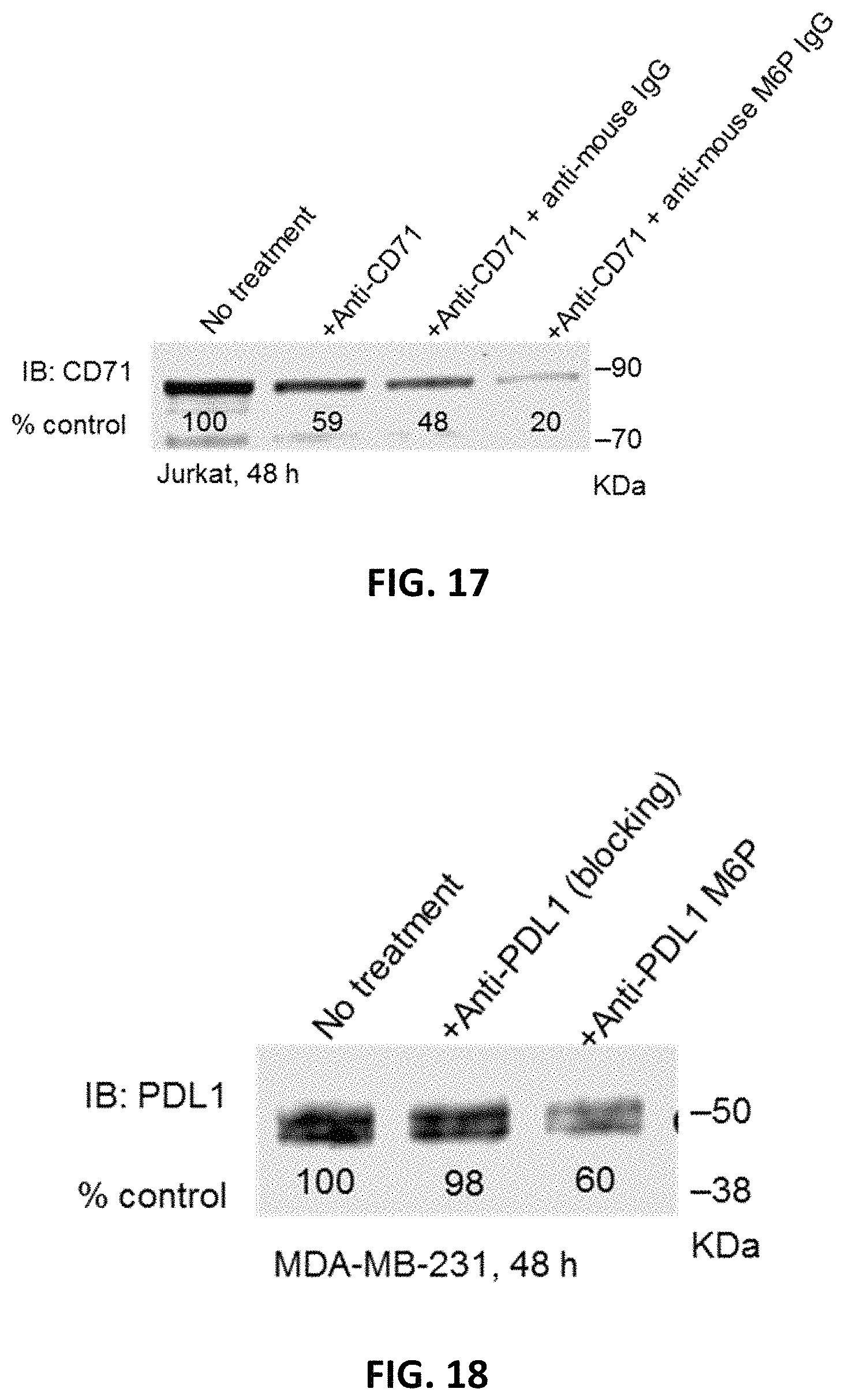 Patent US11787865 Figure 16 – Bifunctional molecules for lysosomal targeting and related compositions and methods