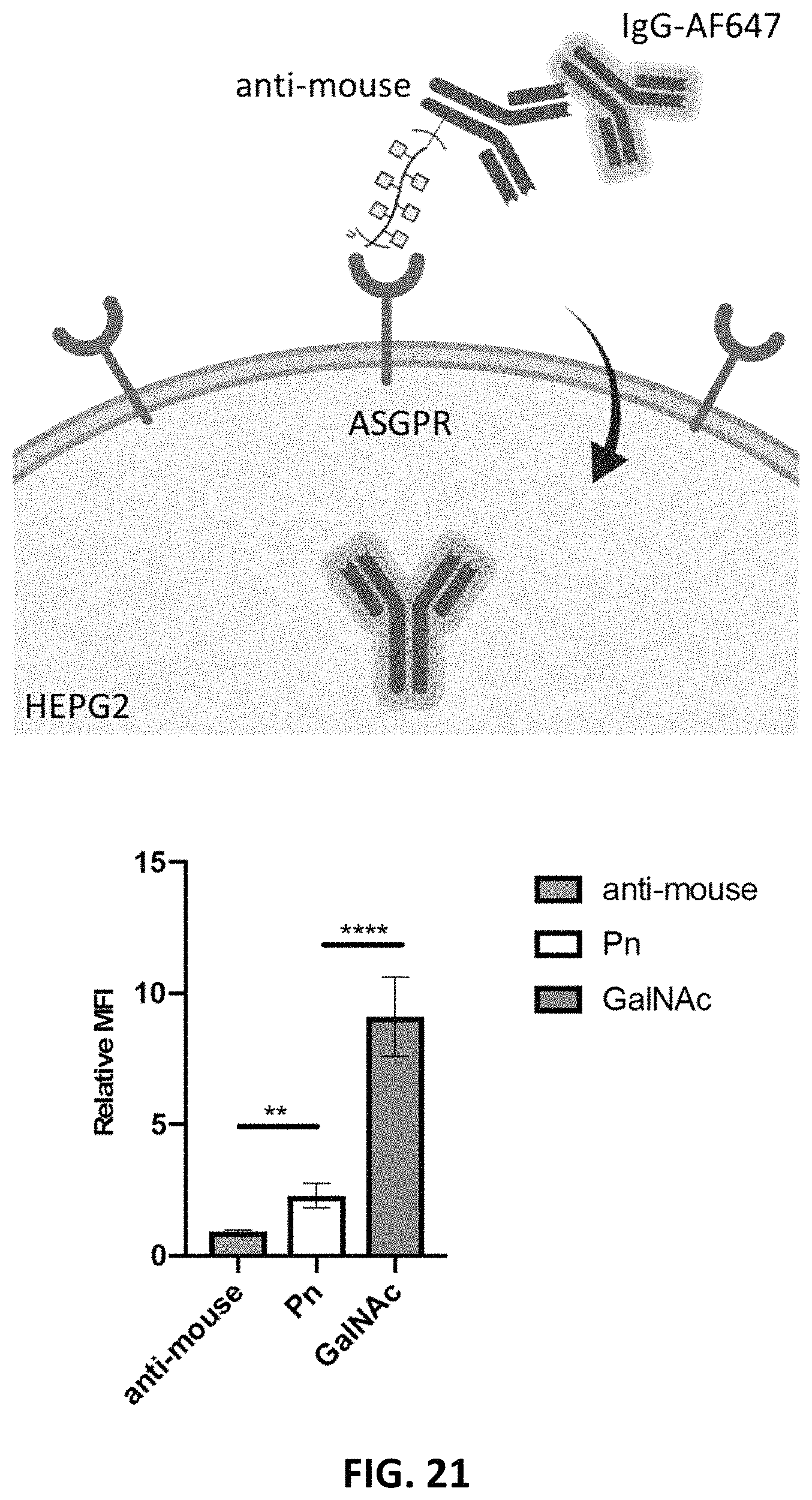 Patent US11787865 Figure 19 – Bifunctional molecules for lysosomal targeting and related compositions and methods