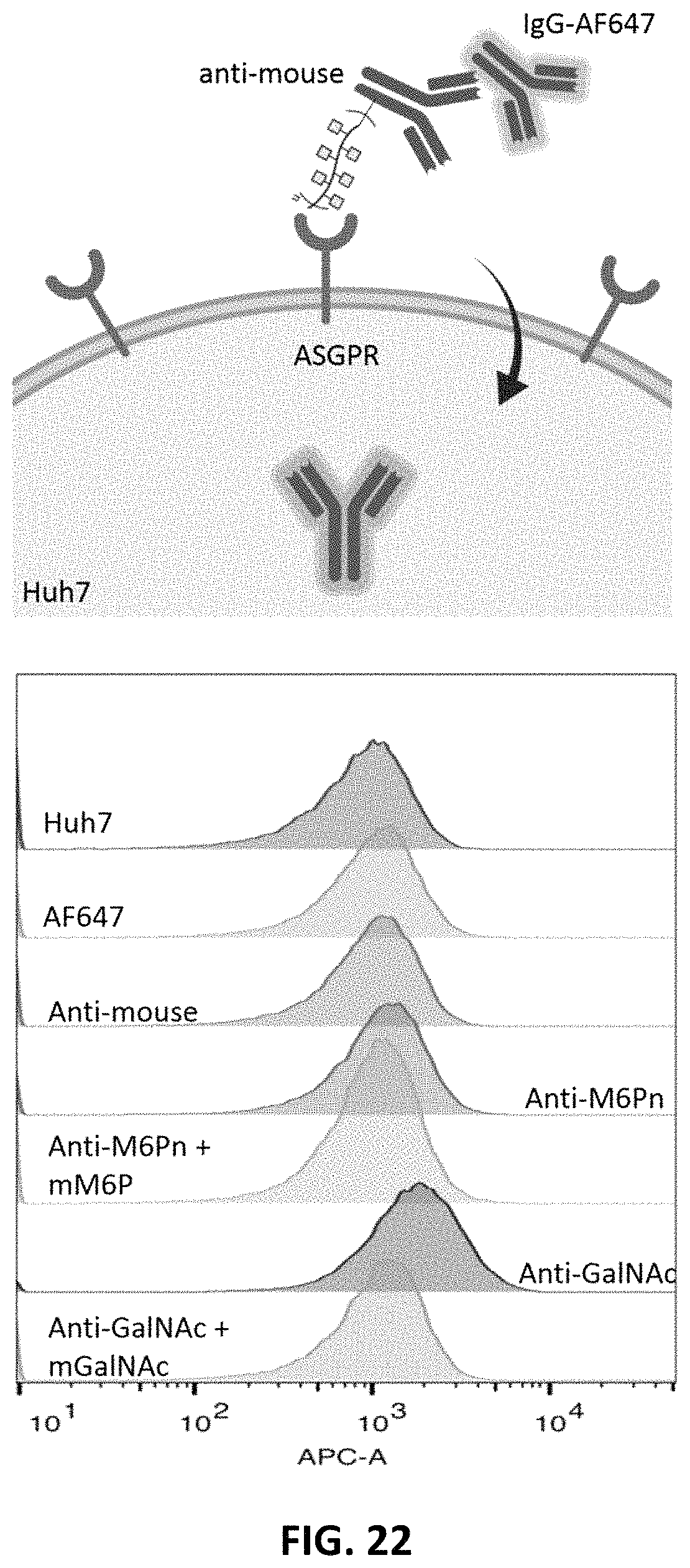 Patent US11787865 Figure 20 – Bifunctional molecules for lysosomal targeting and related compositions and methods