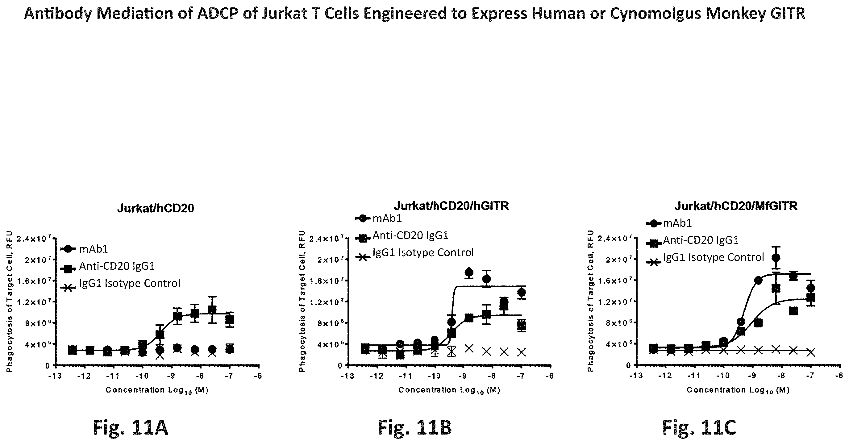 Patent US11787867 Figure 12 – Anti-GITR antibodies and uses thereof