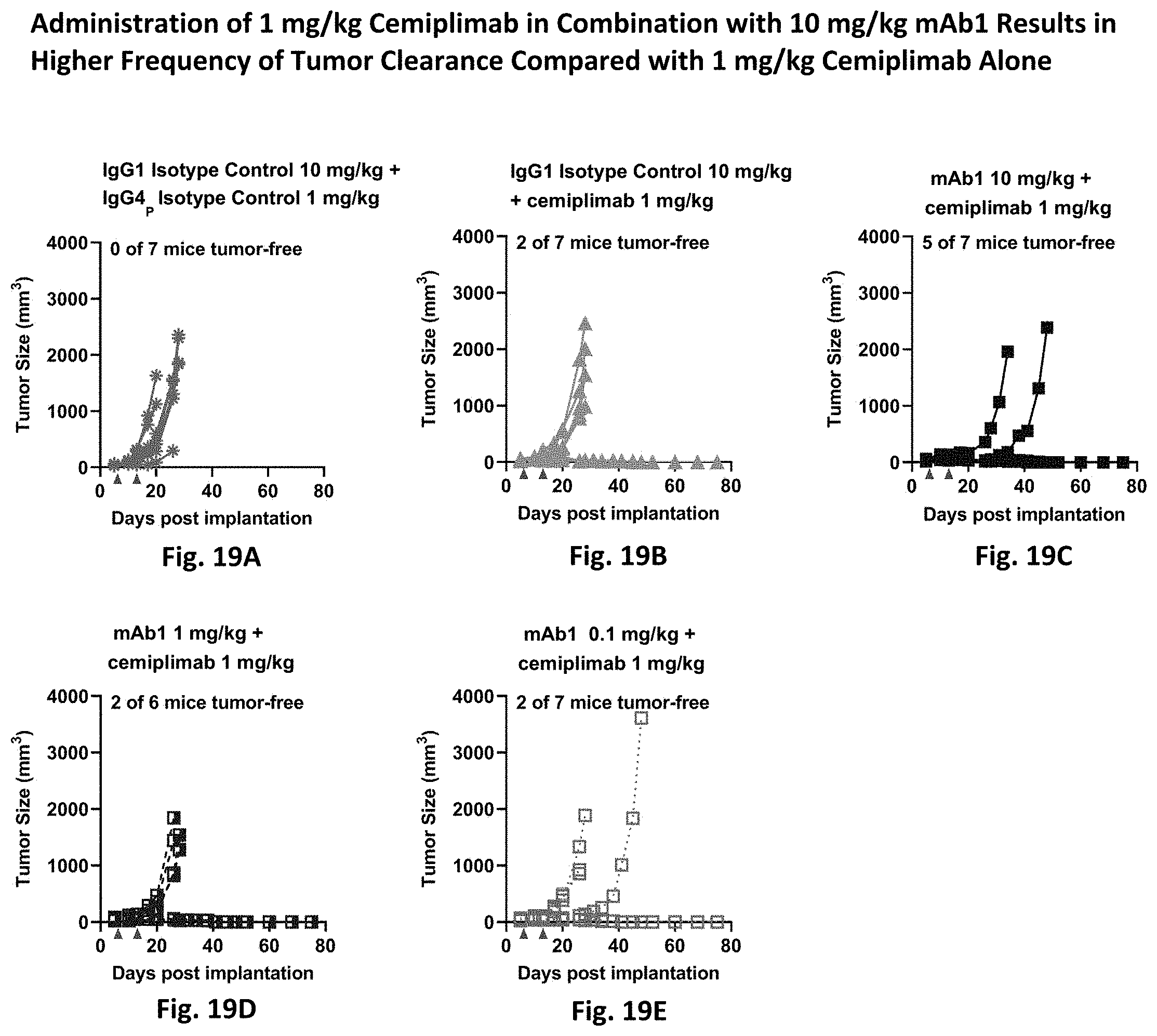 Patent US11787867 Figure 20 – Anti-GITR antibodies and uses thereof