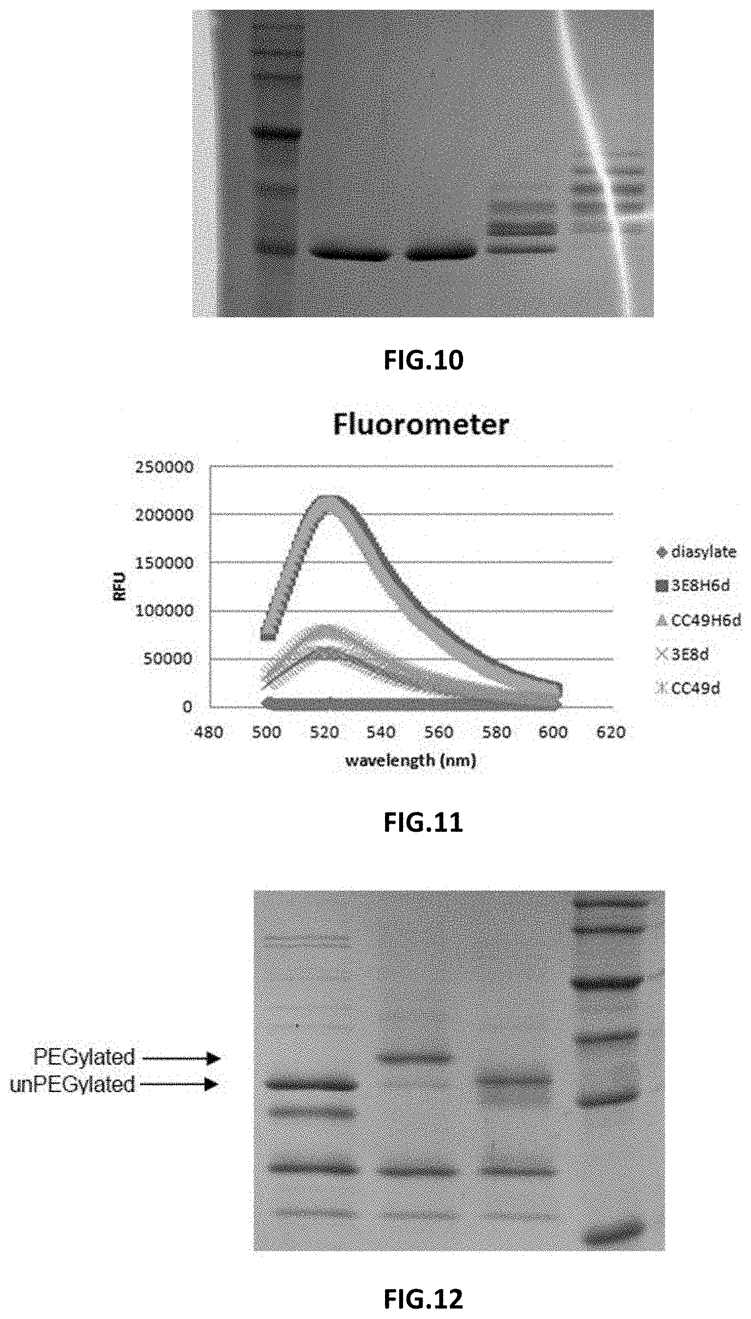 Patent US11787872 Figure 5 – Methods and compositions related to antibody fragments that bind to tumor-associated glycoprotein 72 (TAG-72)