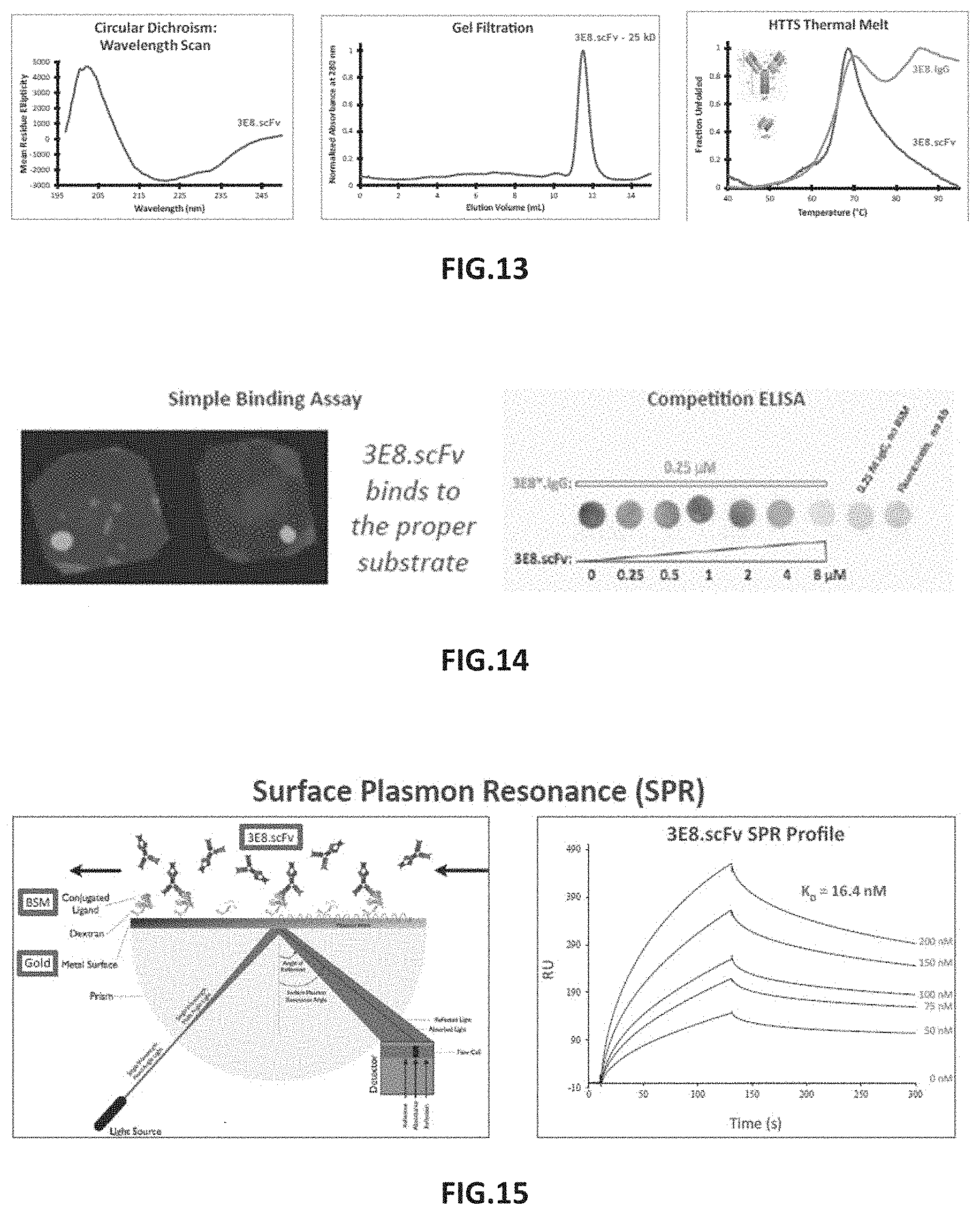 Patent US11787872 Figure 6 – Methods and compositions related to antibody fragments that bind to tumor-associated glycoprotein 72 (TAG-72)