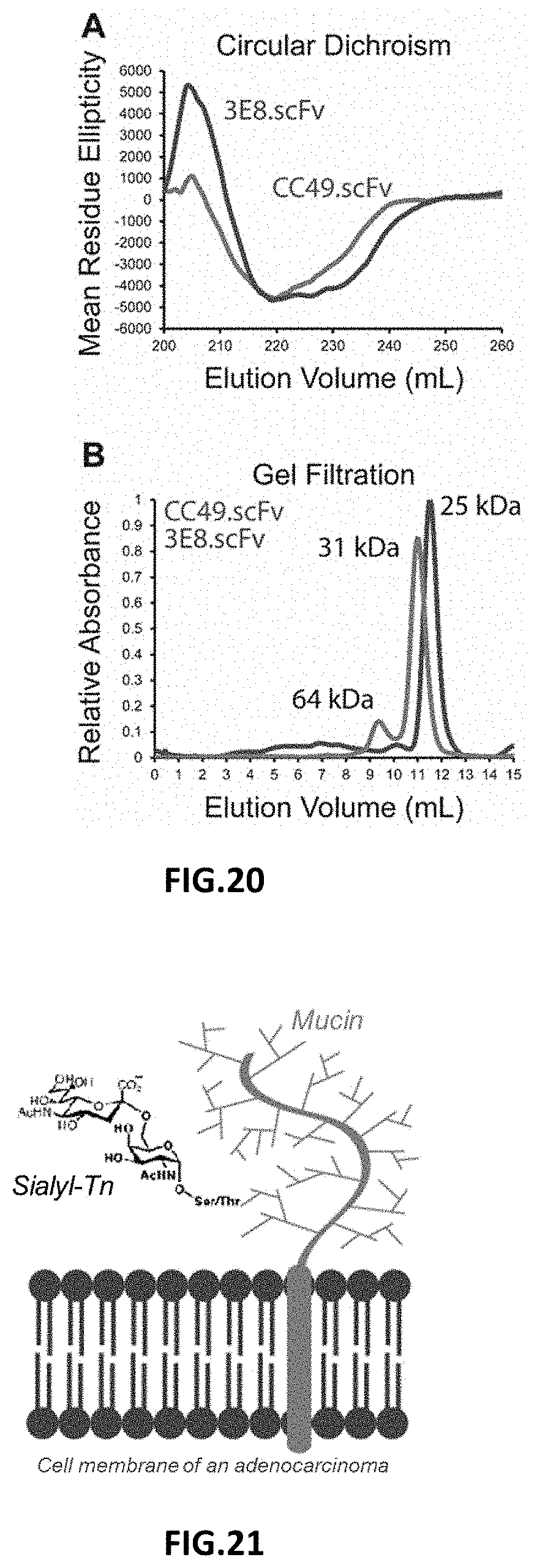 Patent US11787872 Figure 9 – Methods and compositions related to antibody fragments that bind to tumor-associated glycoprotein 72 (TAG-72)