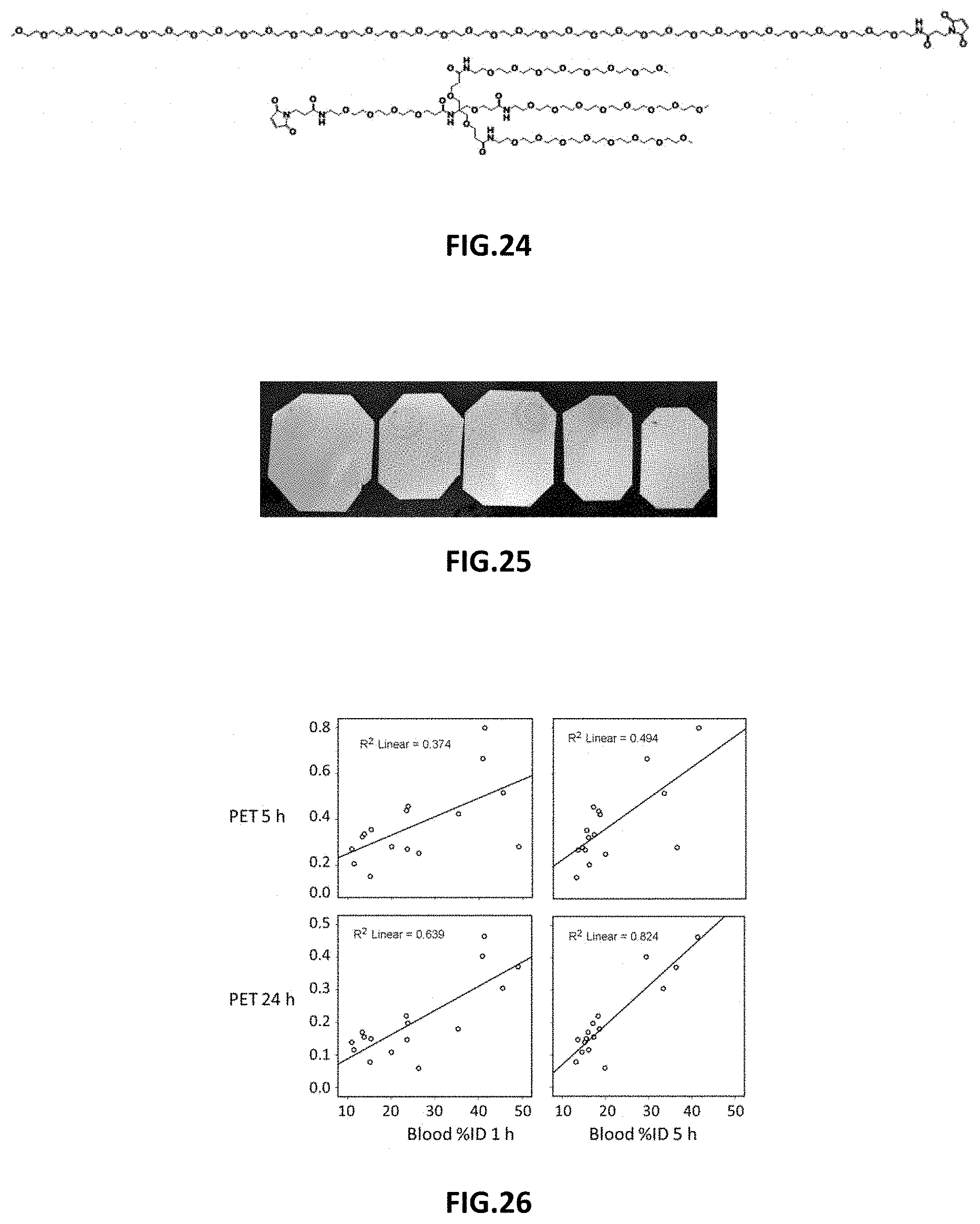 Patent US11787872 Figure 11 – Methods and compositions related to antibody fragments that bind to tumor-associated glycoprotein 72 (TAG-72)
