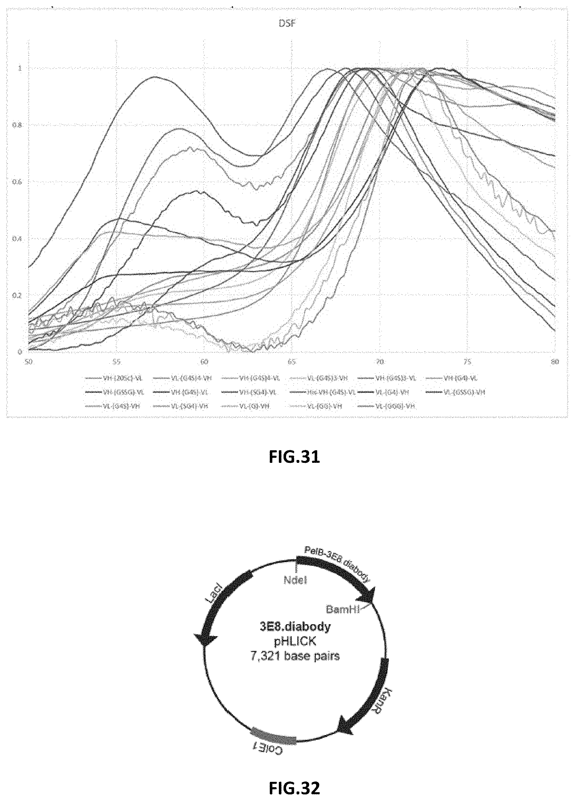 Patent US11787872 Figure 14 – Methods and compositions related to antibody fragments that bind to tumor-associated glycoprotein 72 (TAG-72)