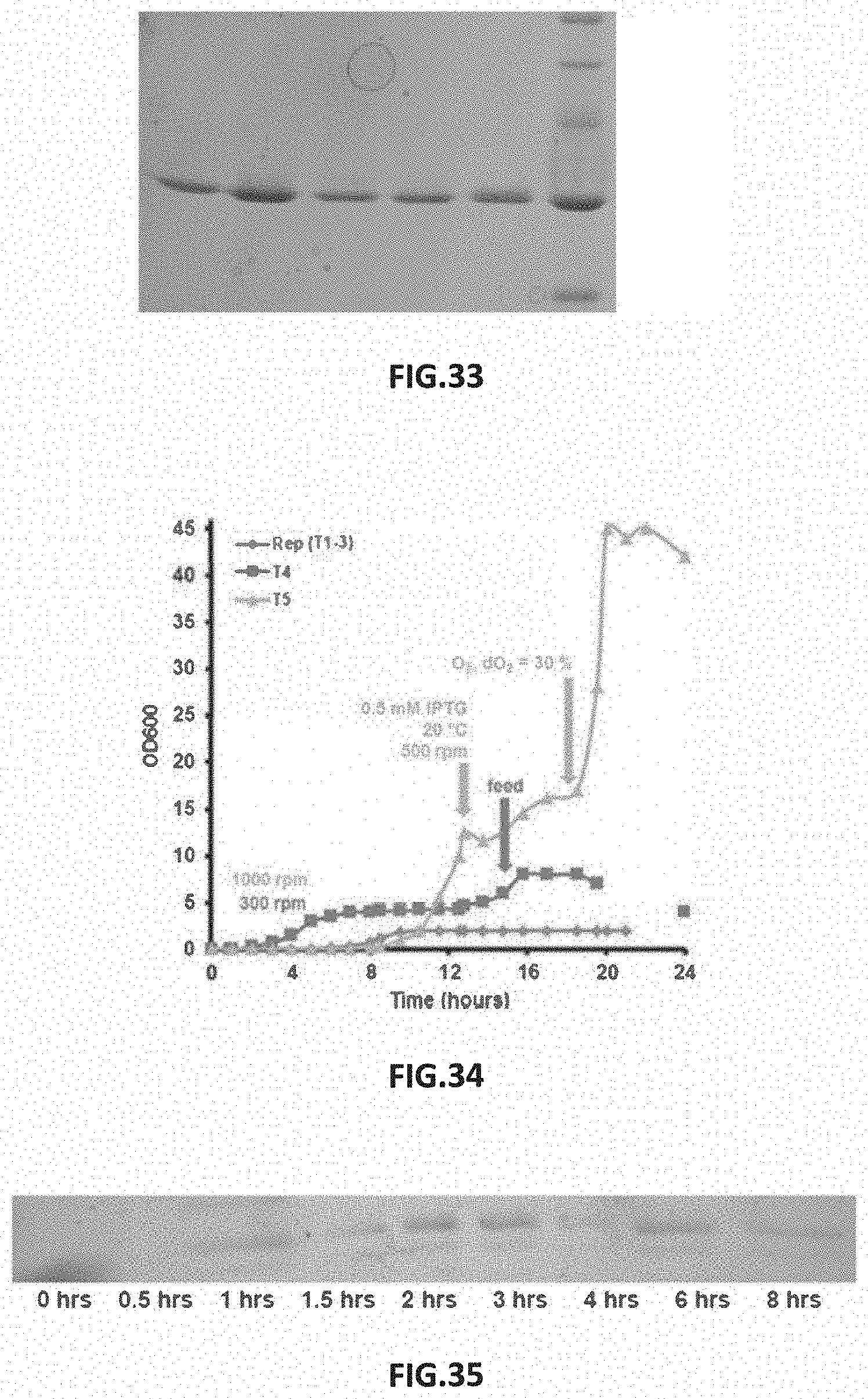 Patent US11787872 Figure 15 – Methods and compositions related to antibody fragments that bind to tumor-associated glycoprotein 72 (TAG-72)