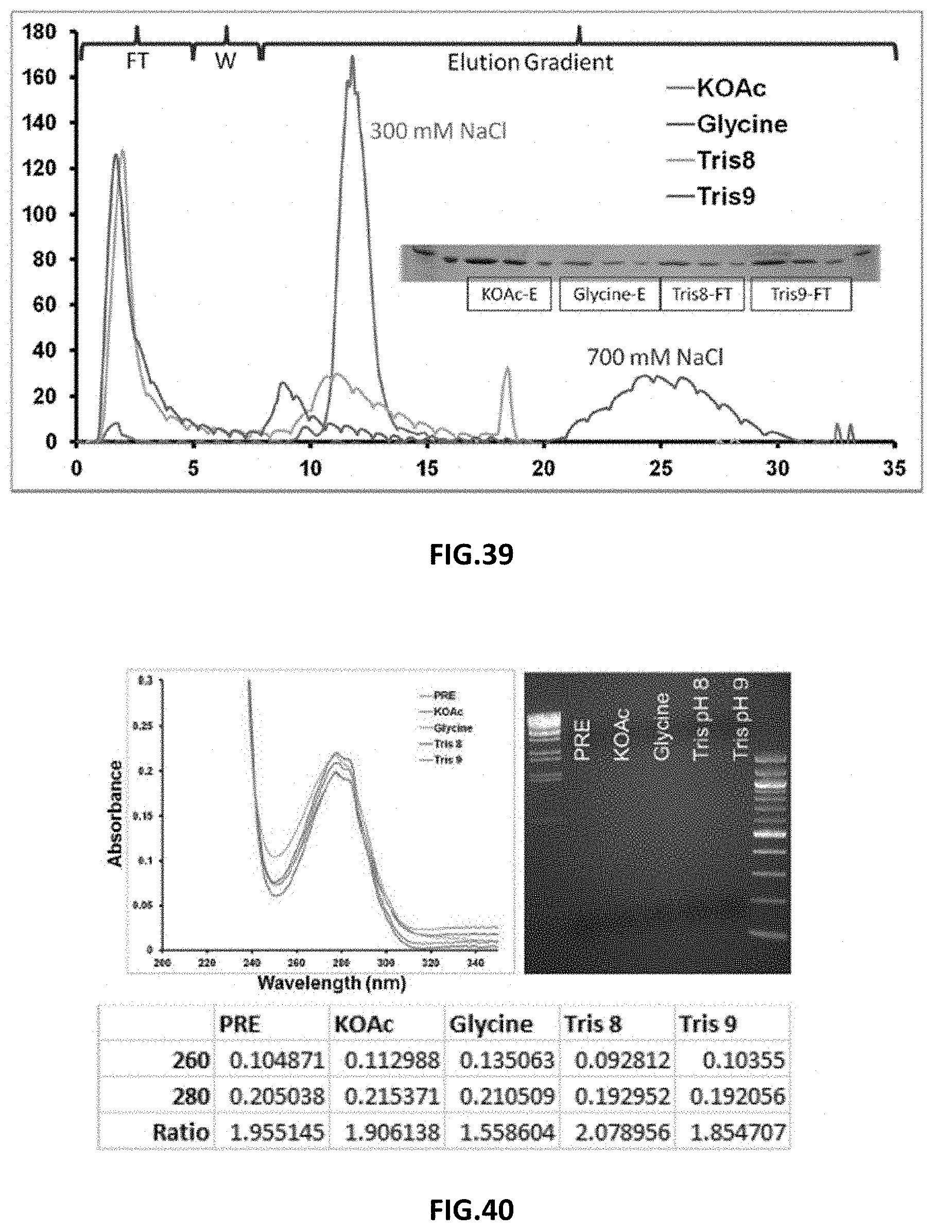 Patent US11787872 Figure 17 – Methods and compositions related to antibody fragments that bind to tumor-associated glycoprotein 72 (TAG-72)