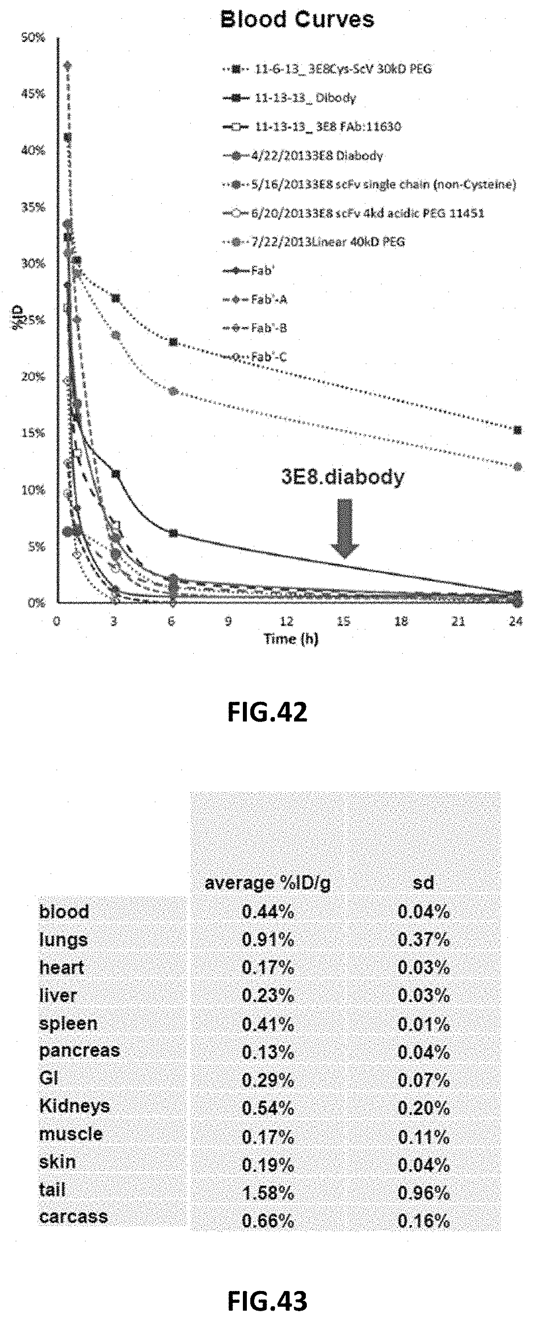 Patent US11787872 Figure 19 – Methods and compositions related to antibody fragments that bind to tumor-associated glycoprotein 72 (TAG-72)