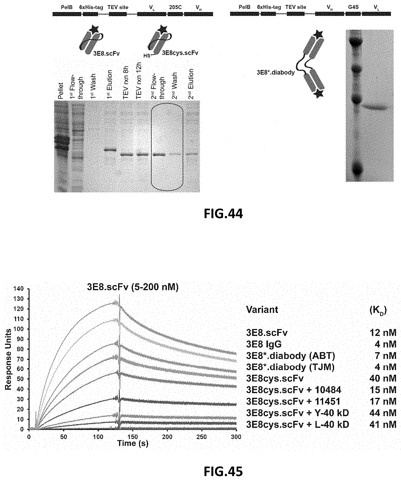 Patent US11787872 Figure 20 – Methods and compositions related to antibody fragments that bind to tumor-associated glycoprotein 72 (TAG-72)
