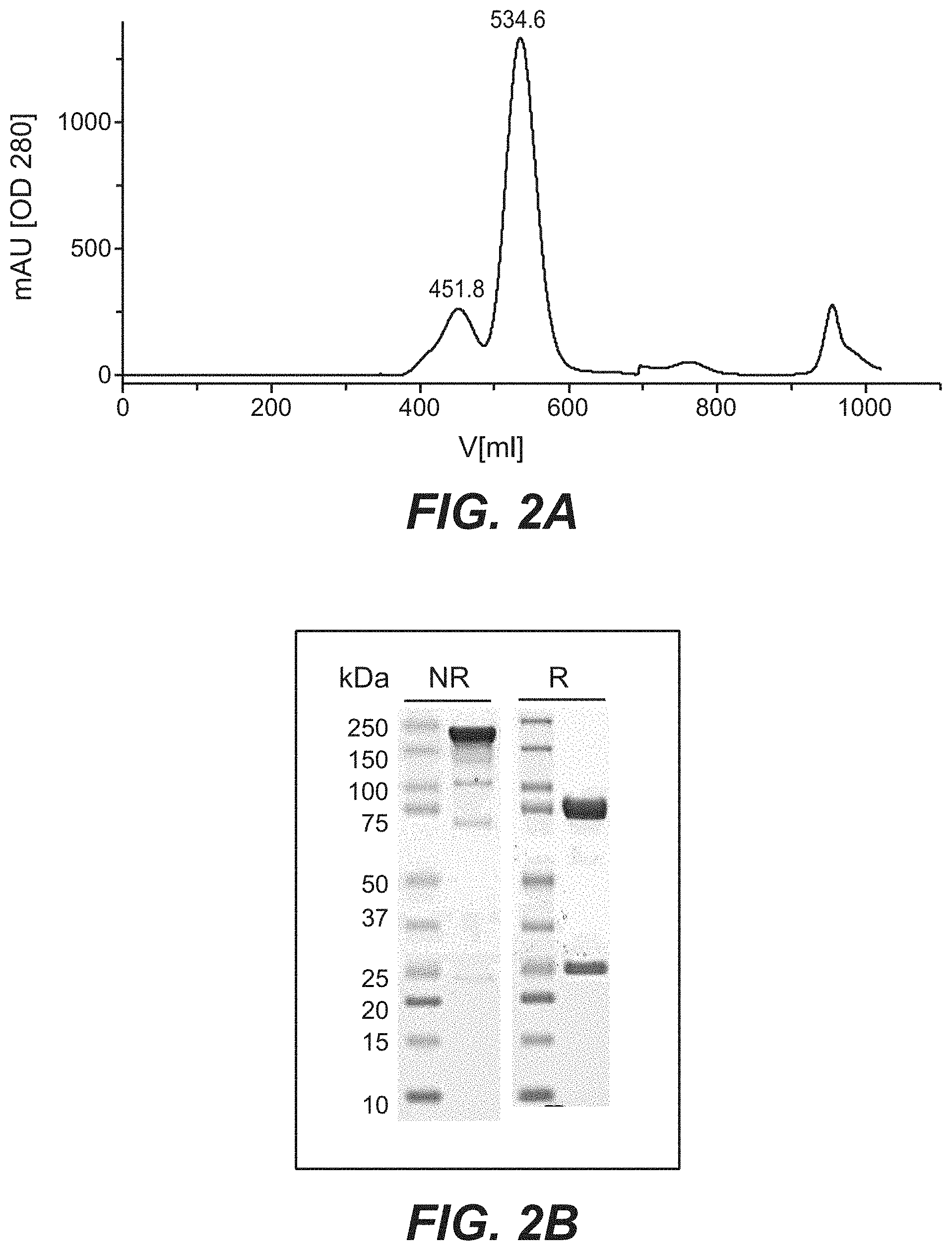 Patent US11787873 Figure 3 – Bispecific HER2 antibodies and methods of use