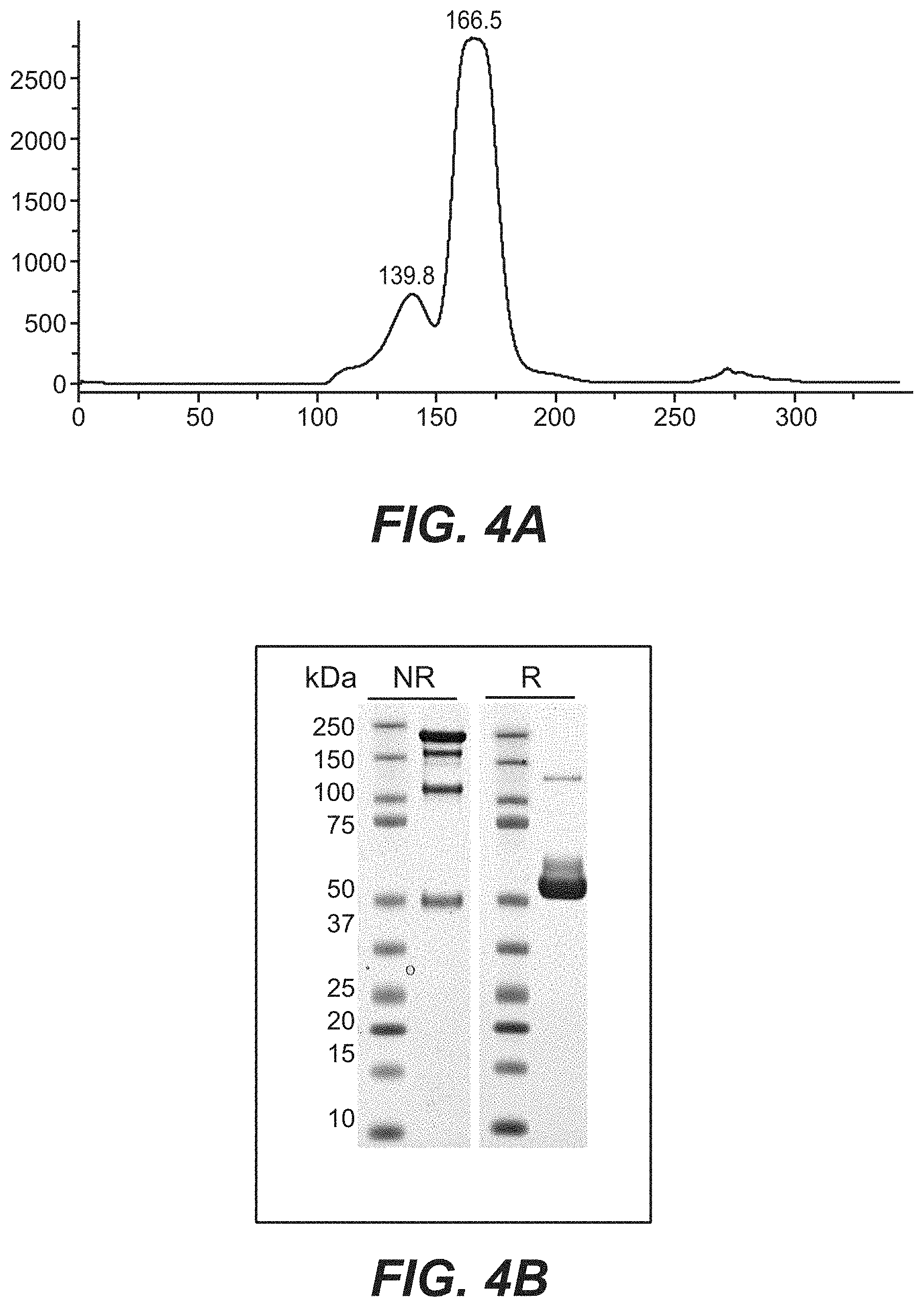 Patent US11787873 Figure 5 – Bispecific HER2 antibodies and methods of use
