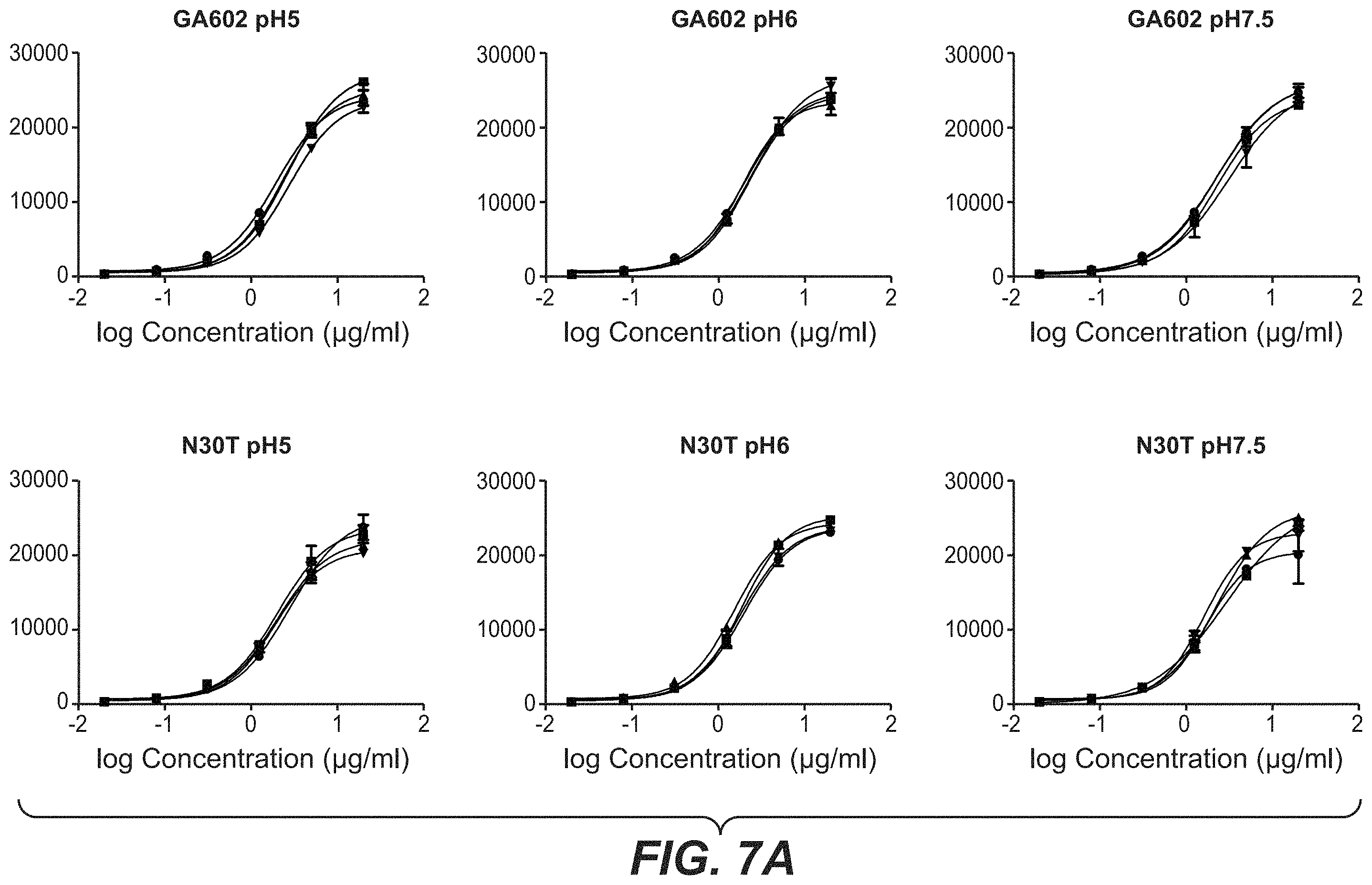 Patent US11787873 Figure 9 – Bispecific HER2 antibodies and methods of use
