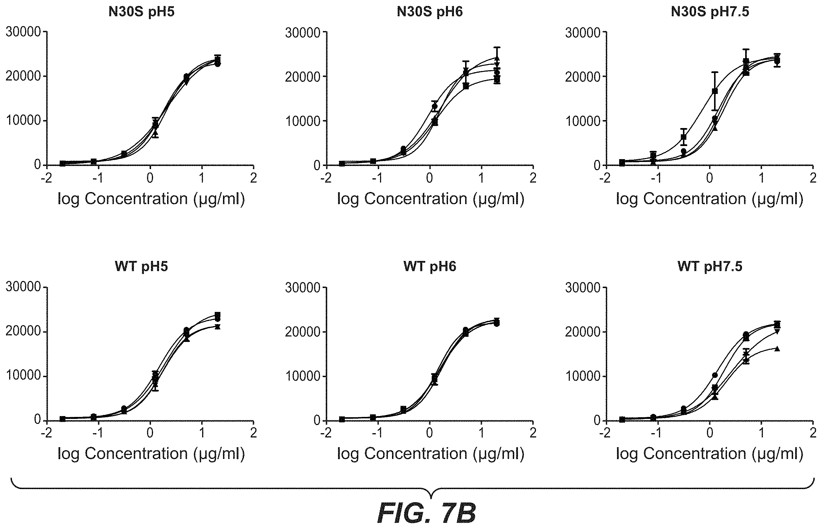 Patent US11787873 Figure 10 – Bispecific HER2 antibodies and methods of use