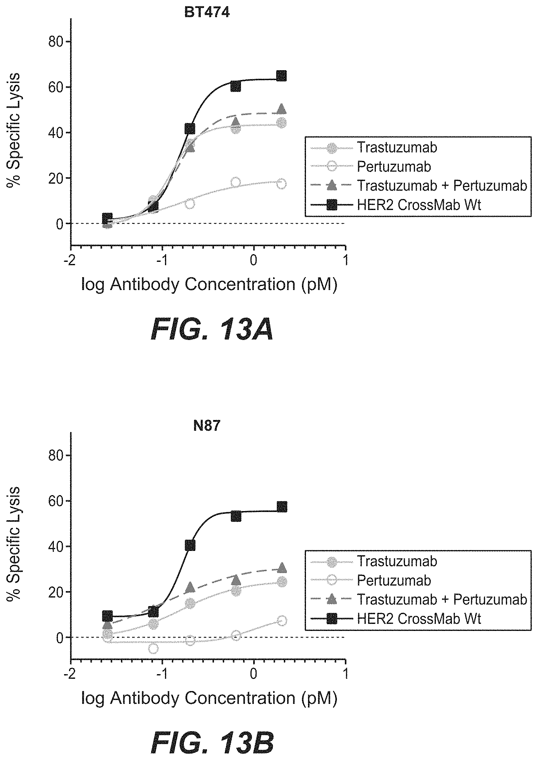 Patent US11787873 Figure 16 – Bispecific HER2 antibodies and methods of use