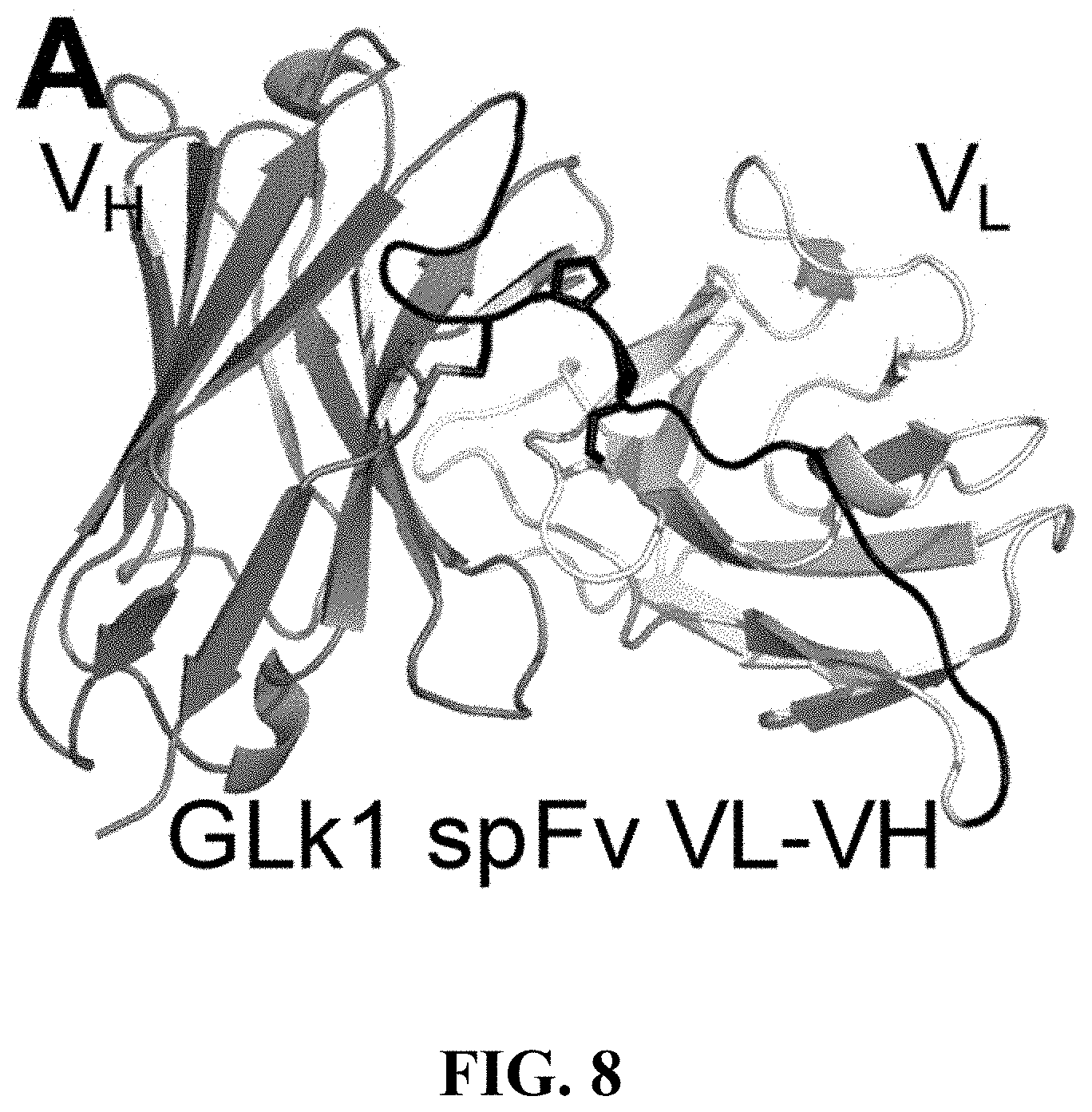 Patent US11787875 Figure 8 – Materials and methods for improved single chain variable fragments