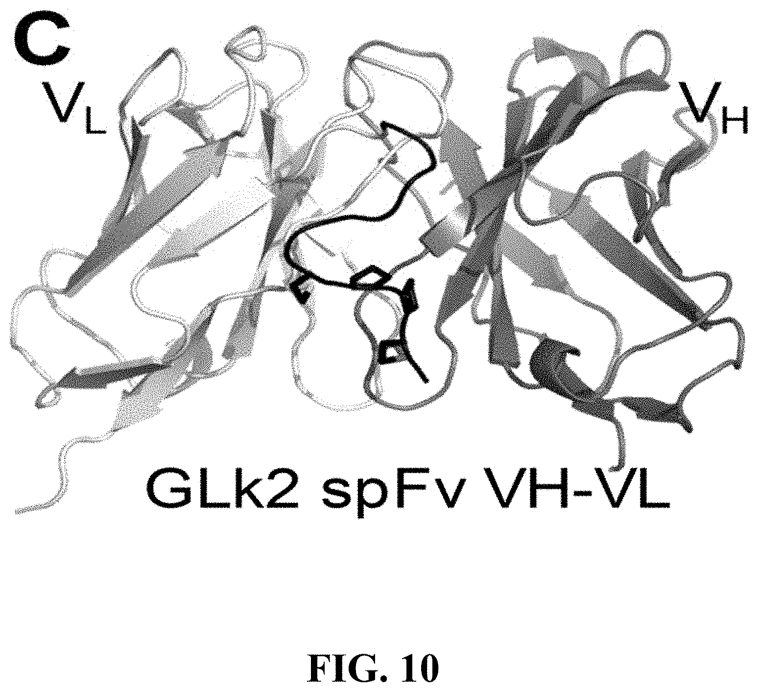Patent US11787875 Figure 10 – Materials and methods for improved single chain variable fragments