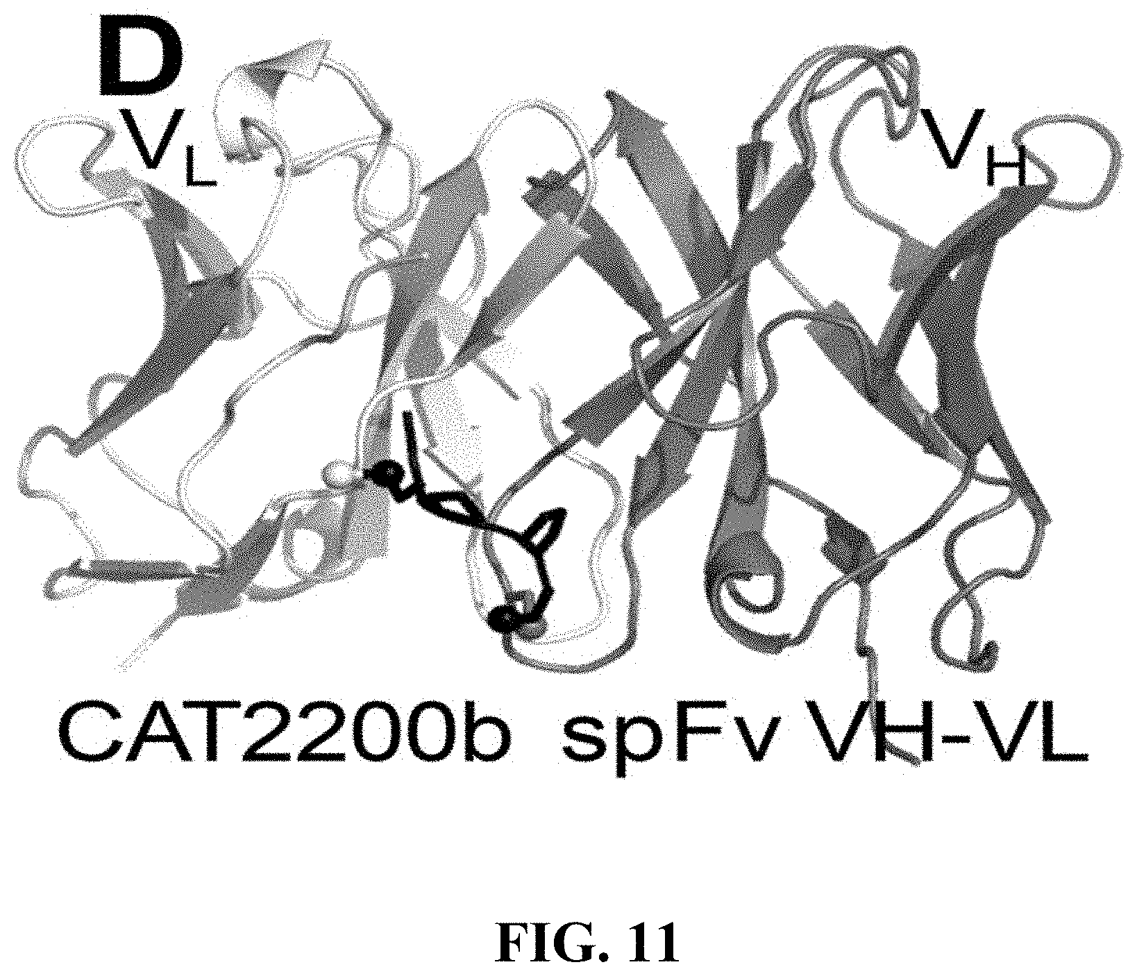 Patent US11787875 Figure 11 – Materials and methods for improved single chain variable fragments