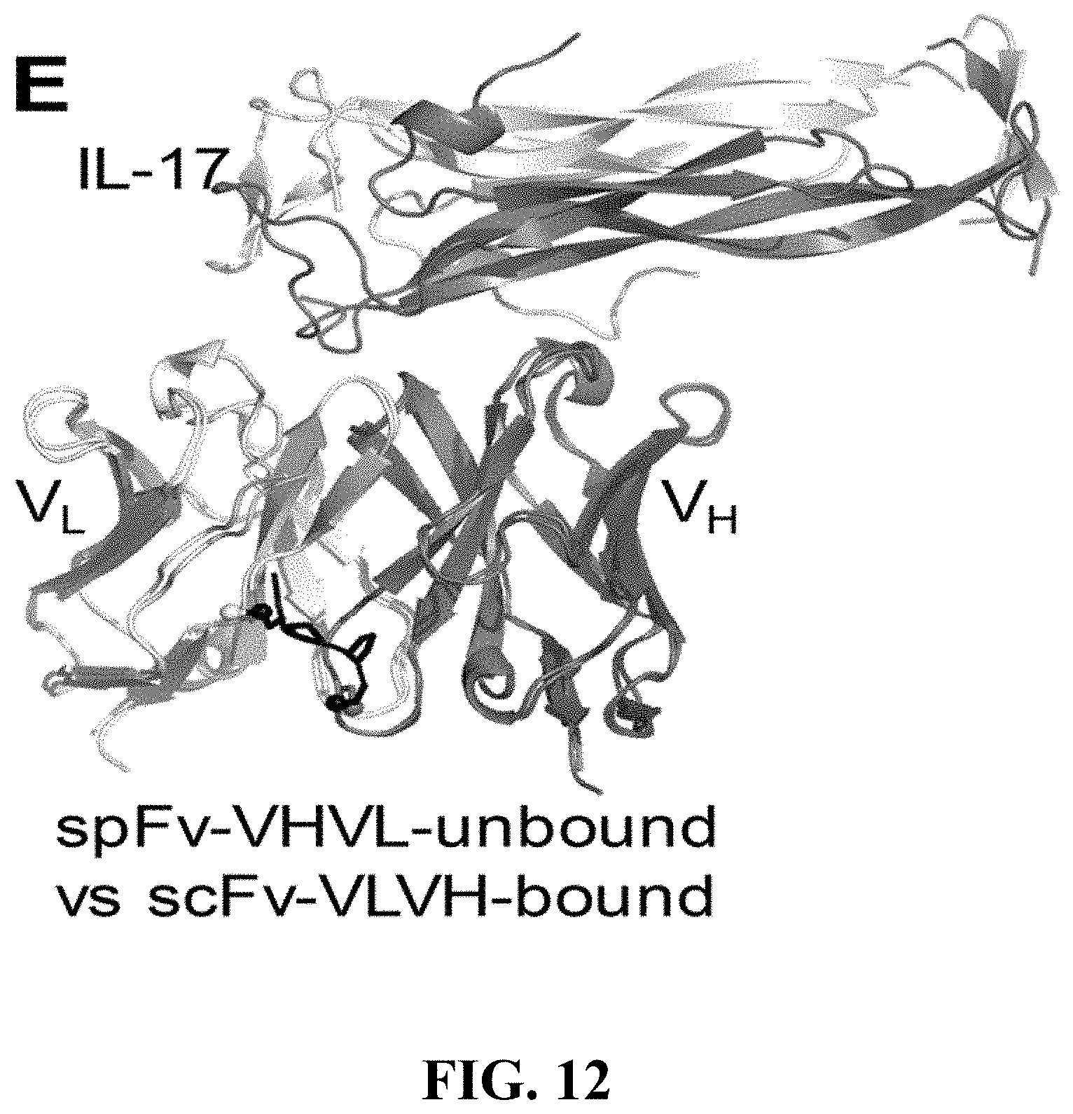 Patent US11787875 Figure 12 – Materials and methods for improved single chain variable fragments