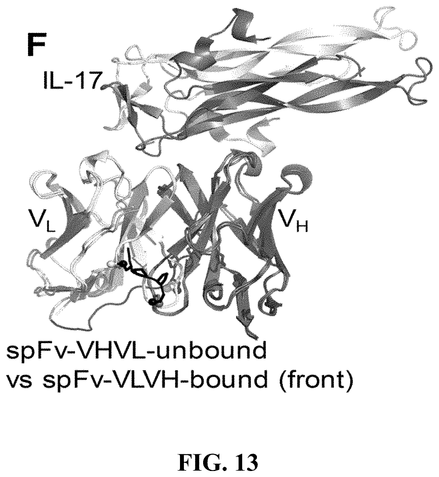 Patent US11787875 Figure 13 – Materials and methods for improved single chain variable fragments