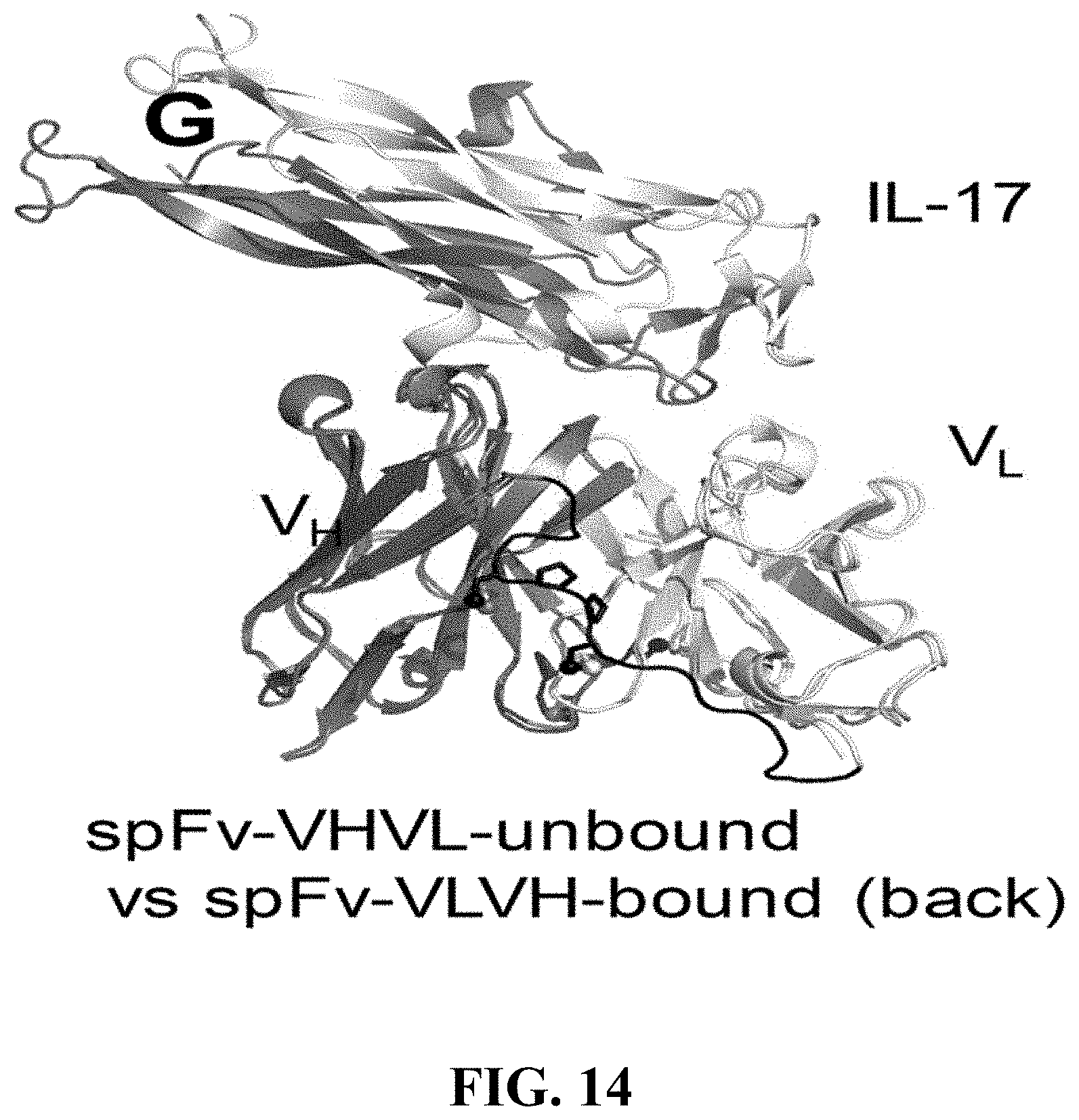 Patent US11787875 Figure 14 – Materials and methods for improved single chain variable fragments