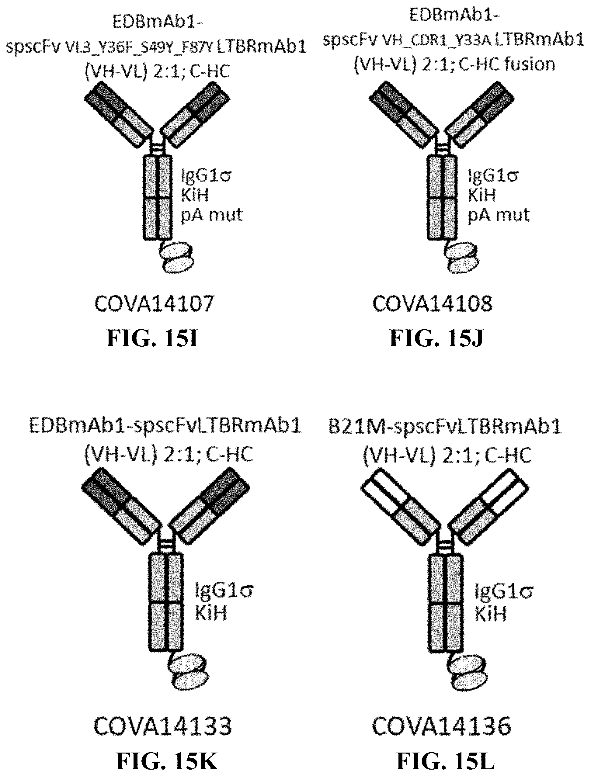 Patent US11787875 Figure 17 – Materials and methods for improved single chain variable fragments