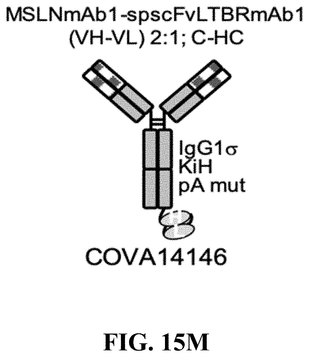 Patent US11787875 Figure 18 – Materials and methods for improved single chain variable fragments