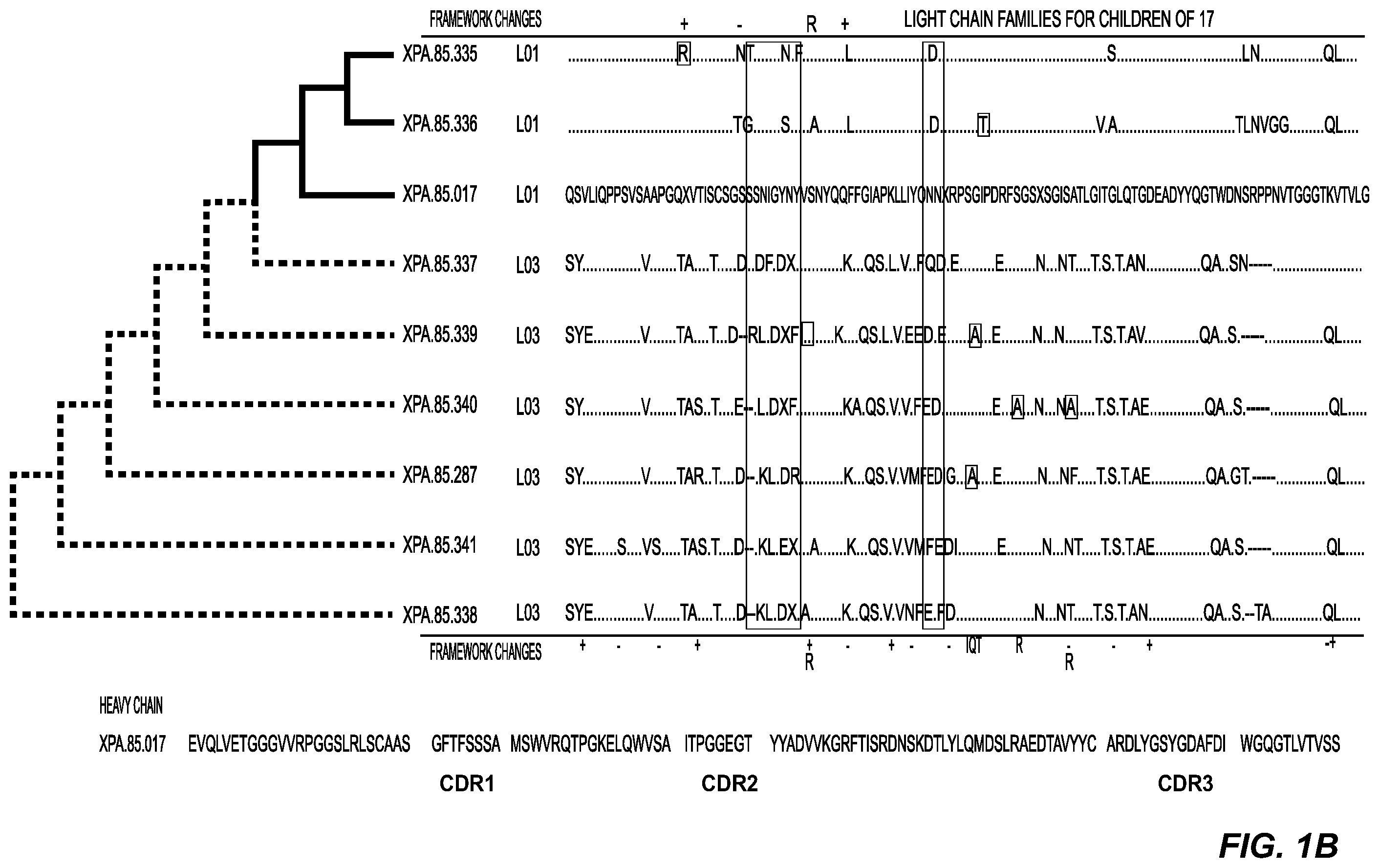 Patent US11787876 Figure 2 – Parathyroid hormone receptor 1 (PTH1R) antibodies and uses thereof