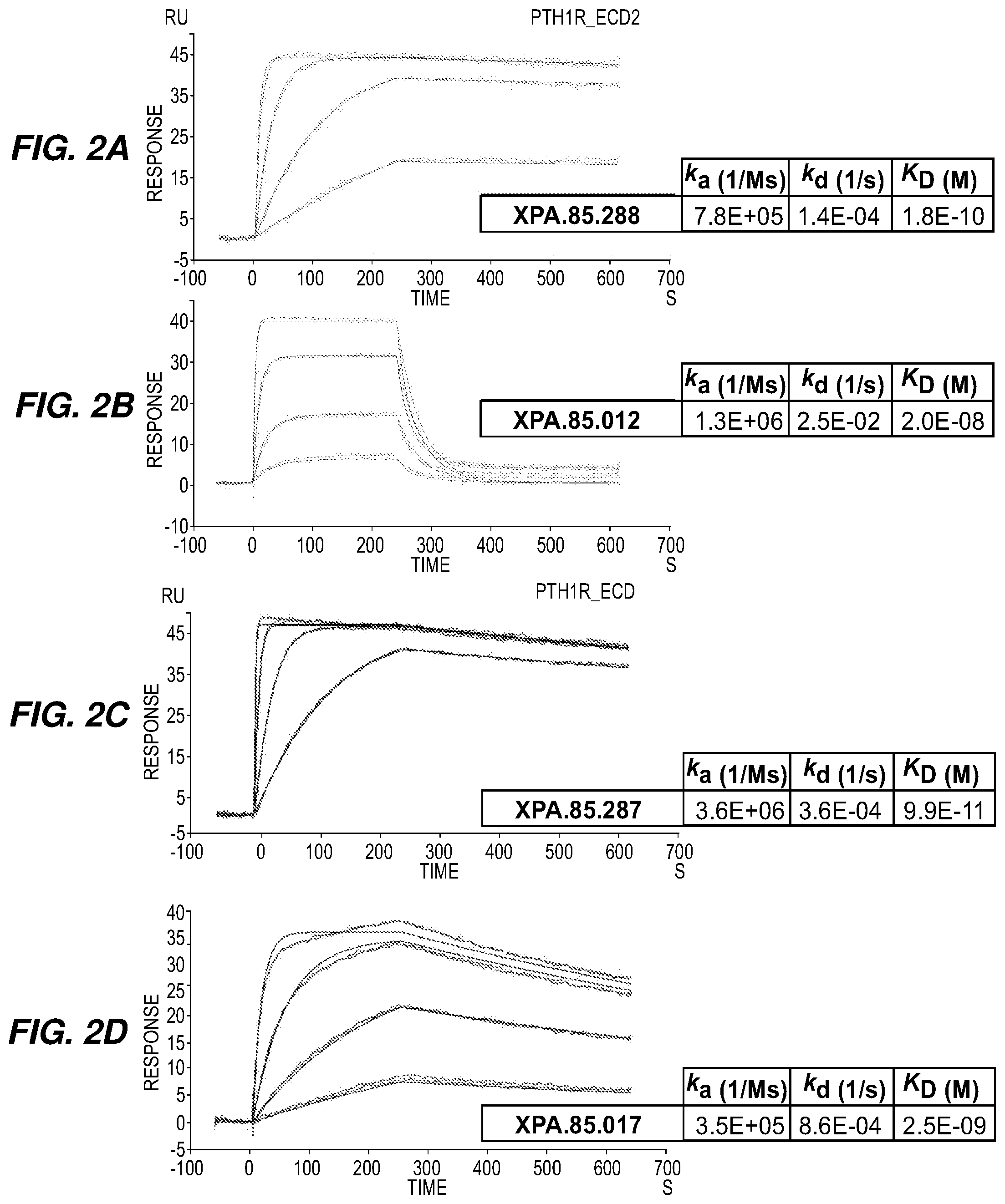 Patent US11787876 Figure 3 – Parathyroid hormone receptor 1 (PTH1R) antibodies and uses thereof