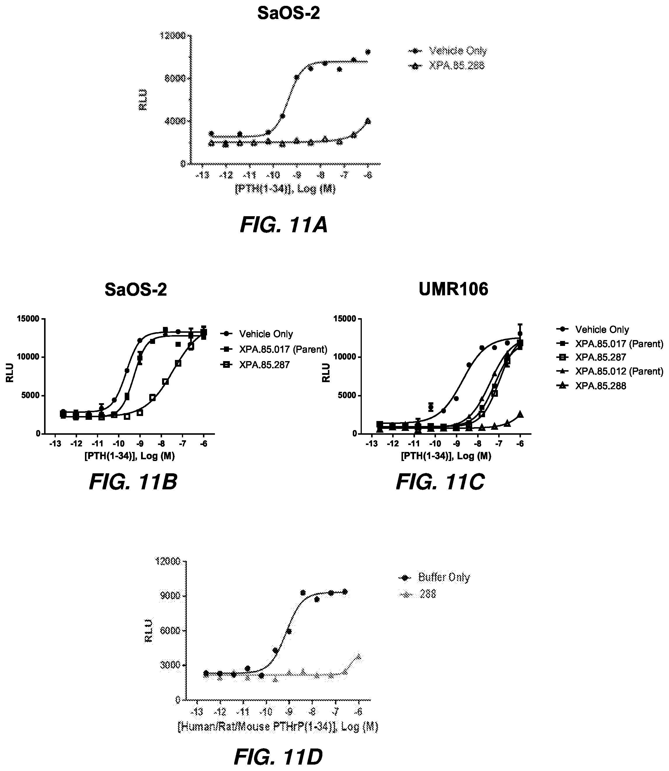 Patent US11787876 Figure 14 – Parathyroid hormone receptor 1 (PTH1R) antibodies and uses thereof
