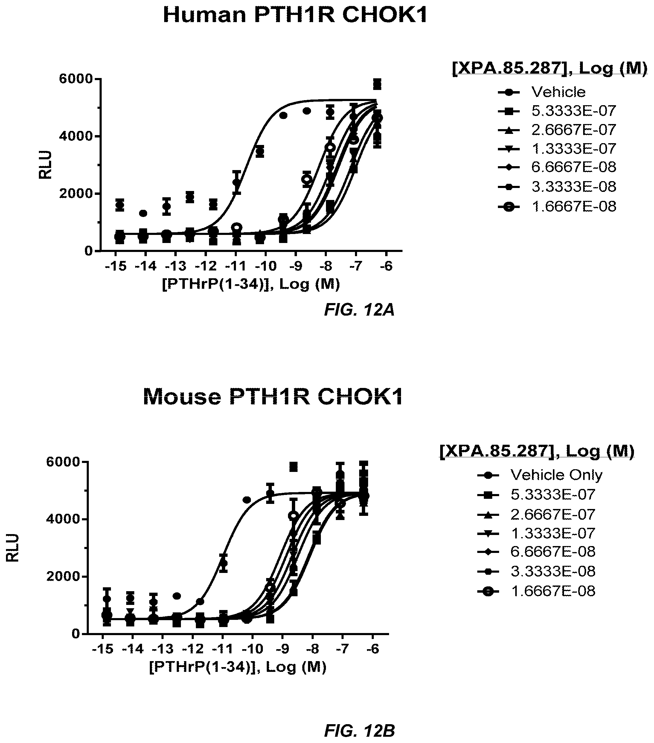 Patent US11787876 Figure 15 – Parathyroid hormone receptor 1 (PTH1R) antibodies and uses thereof