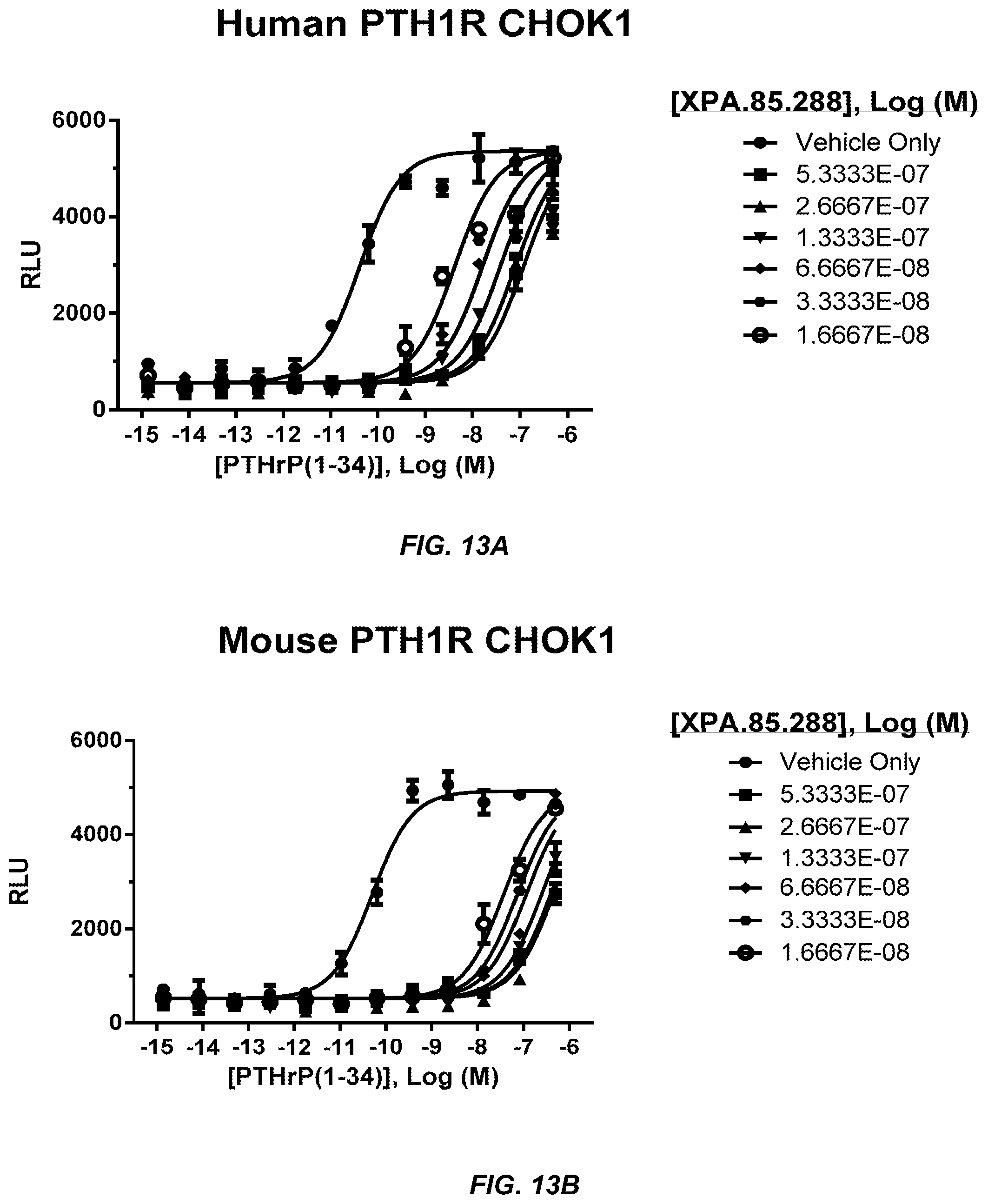 Patent US11787876 Figure 16 – Parathyroid hormone receptor 1 (PTH1R) antibodies and uses thereof
