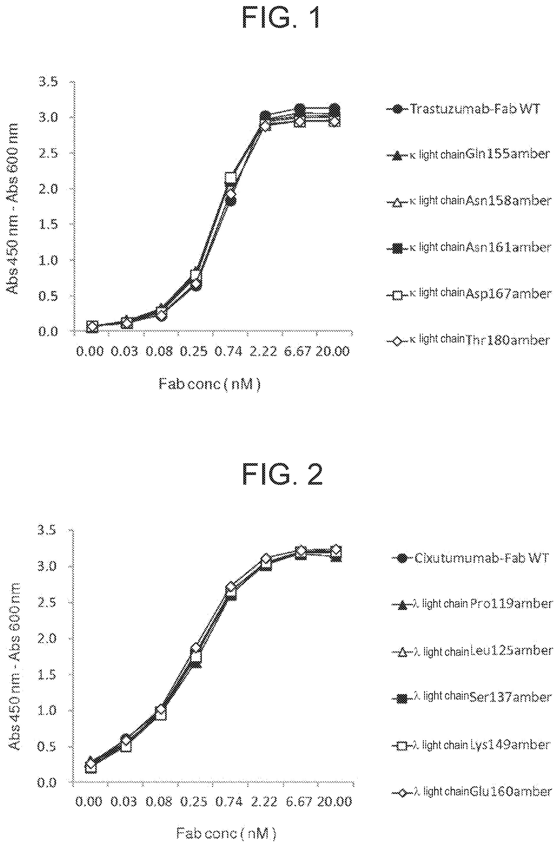 Patent US11787877 Figure 1 – Antibody with non-natural amino acid introduced therein