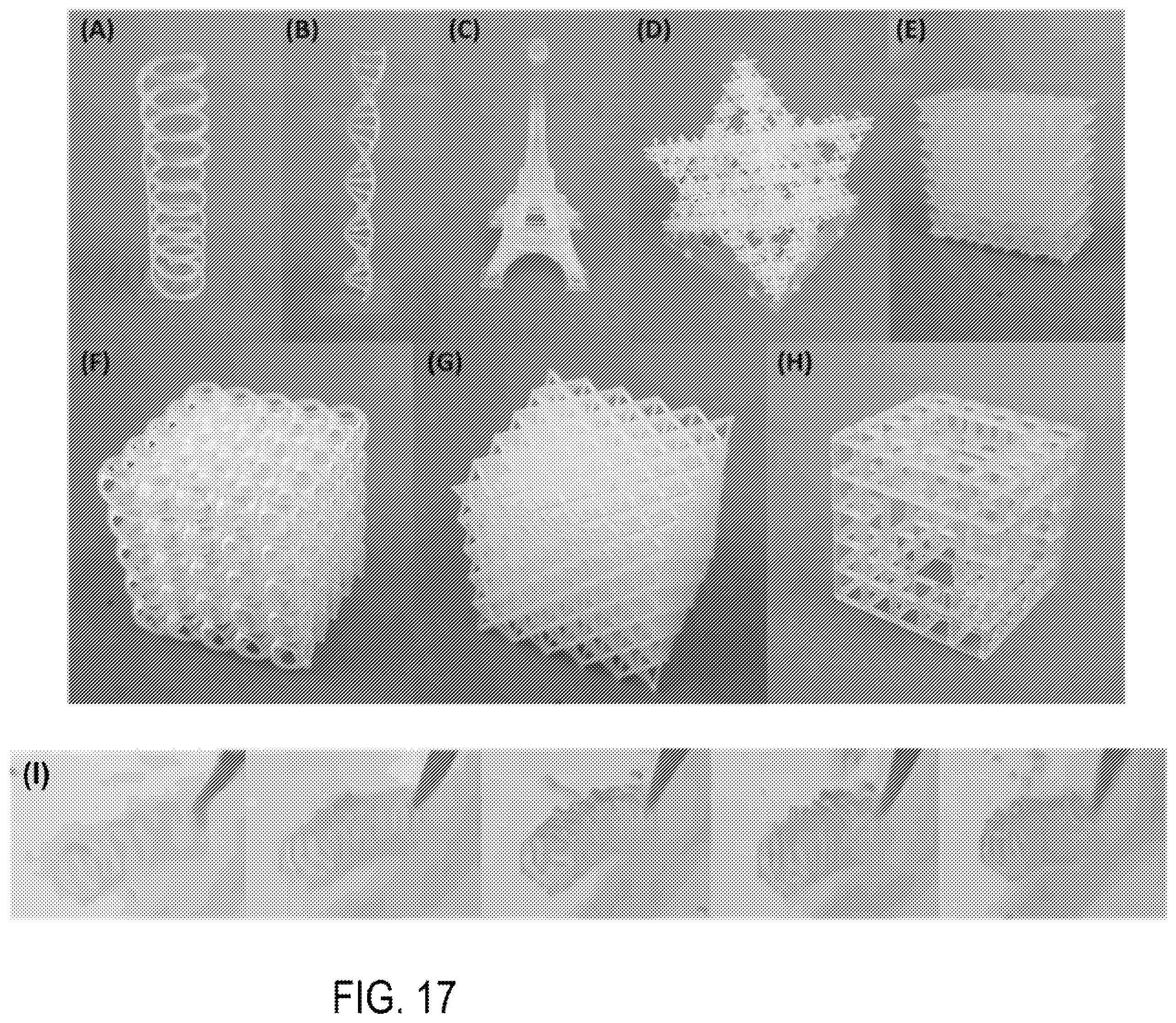 Patent US11787890 Figure 17 – High performance and recyclable thermoset ink for 3D or 4D printing