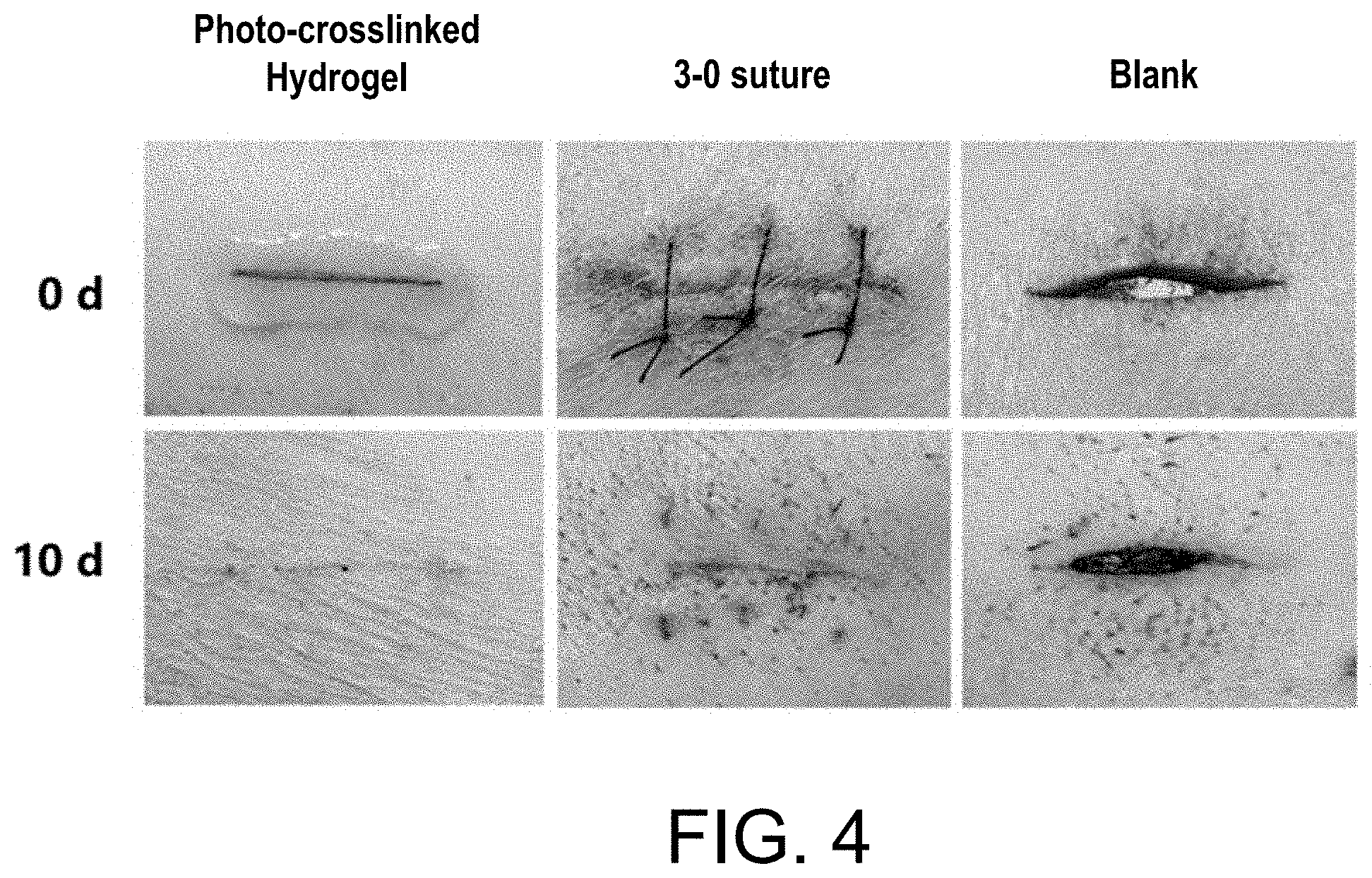 Patent US11787903 Figure 4 – Highly strong and tough photo-crosslinked hydrogel material and its preparation and application